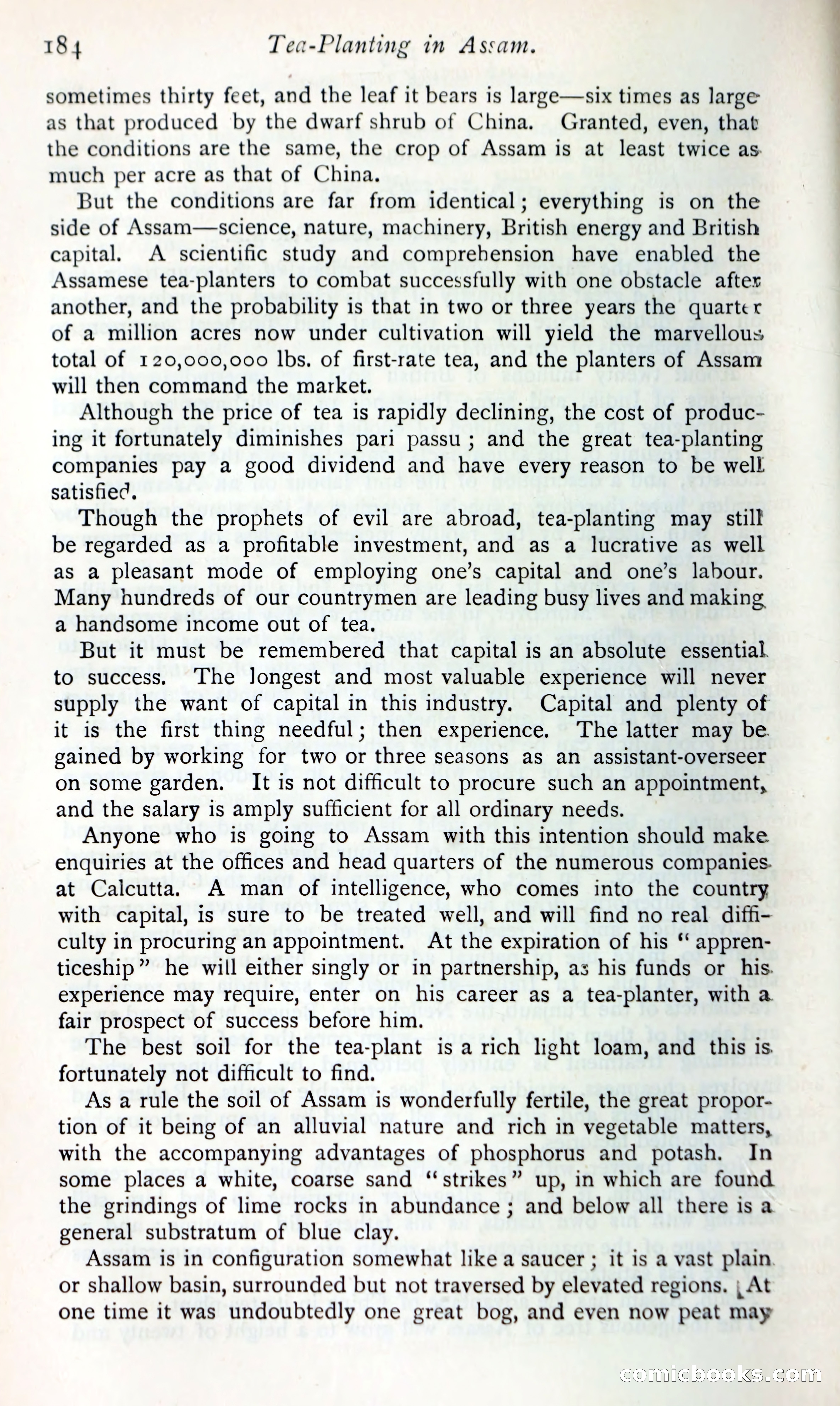 The Argosy — page 203 of 400