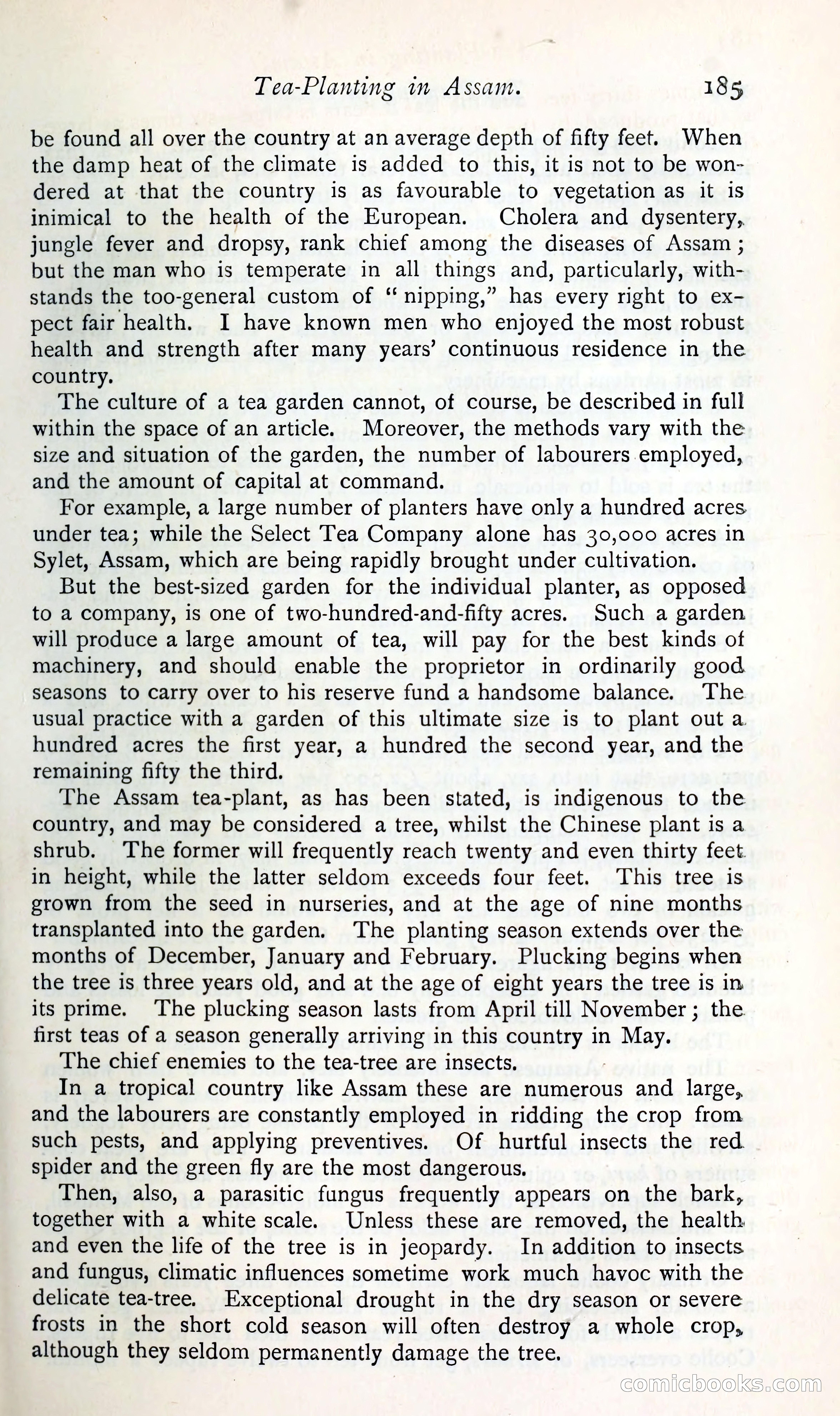 The Argosy — page 204 of 400