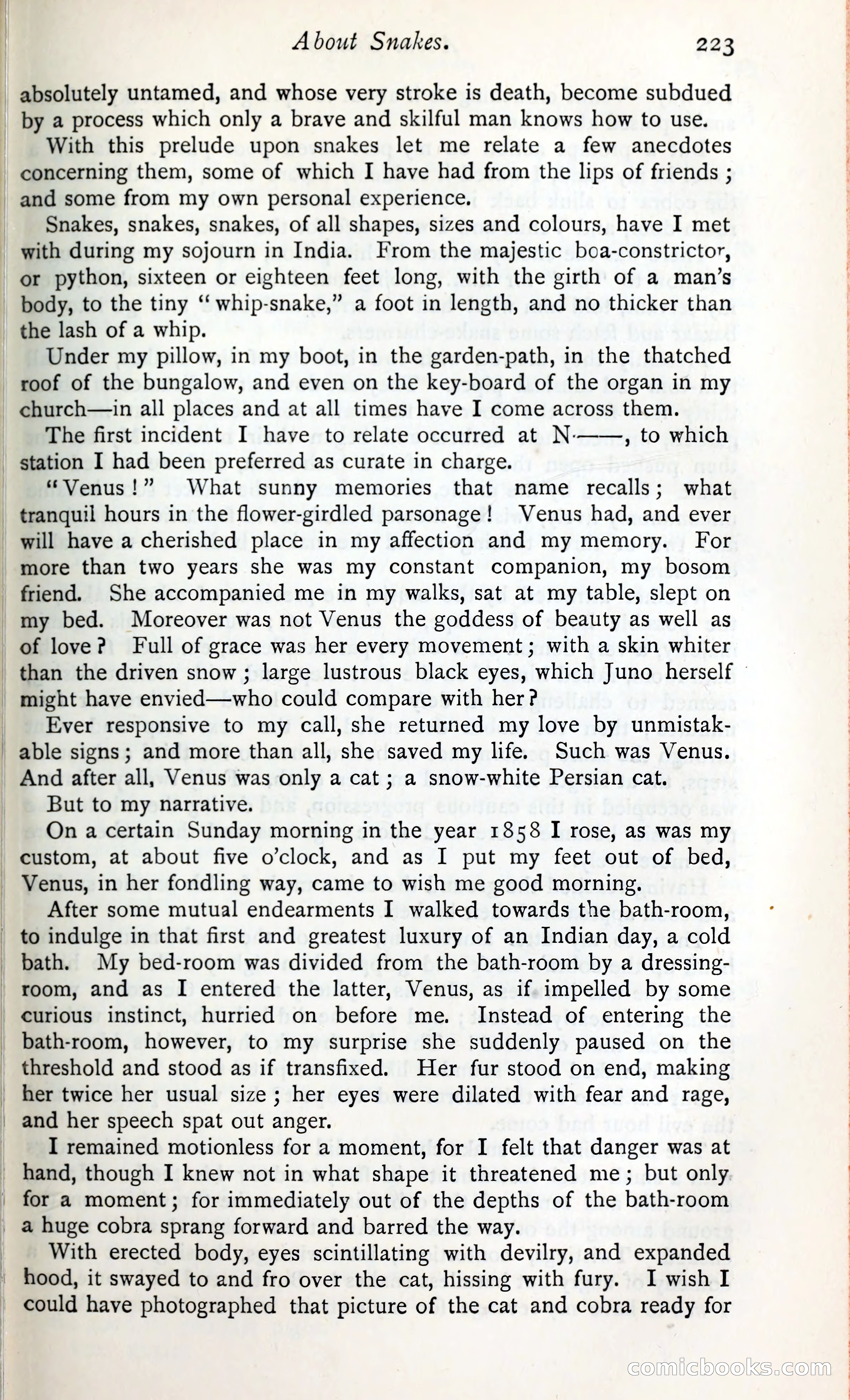 The Argosy — page 240 of 399
