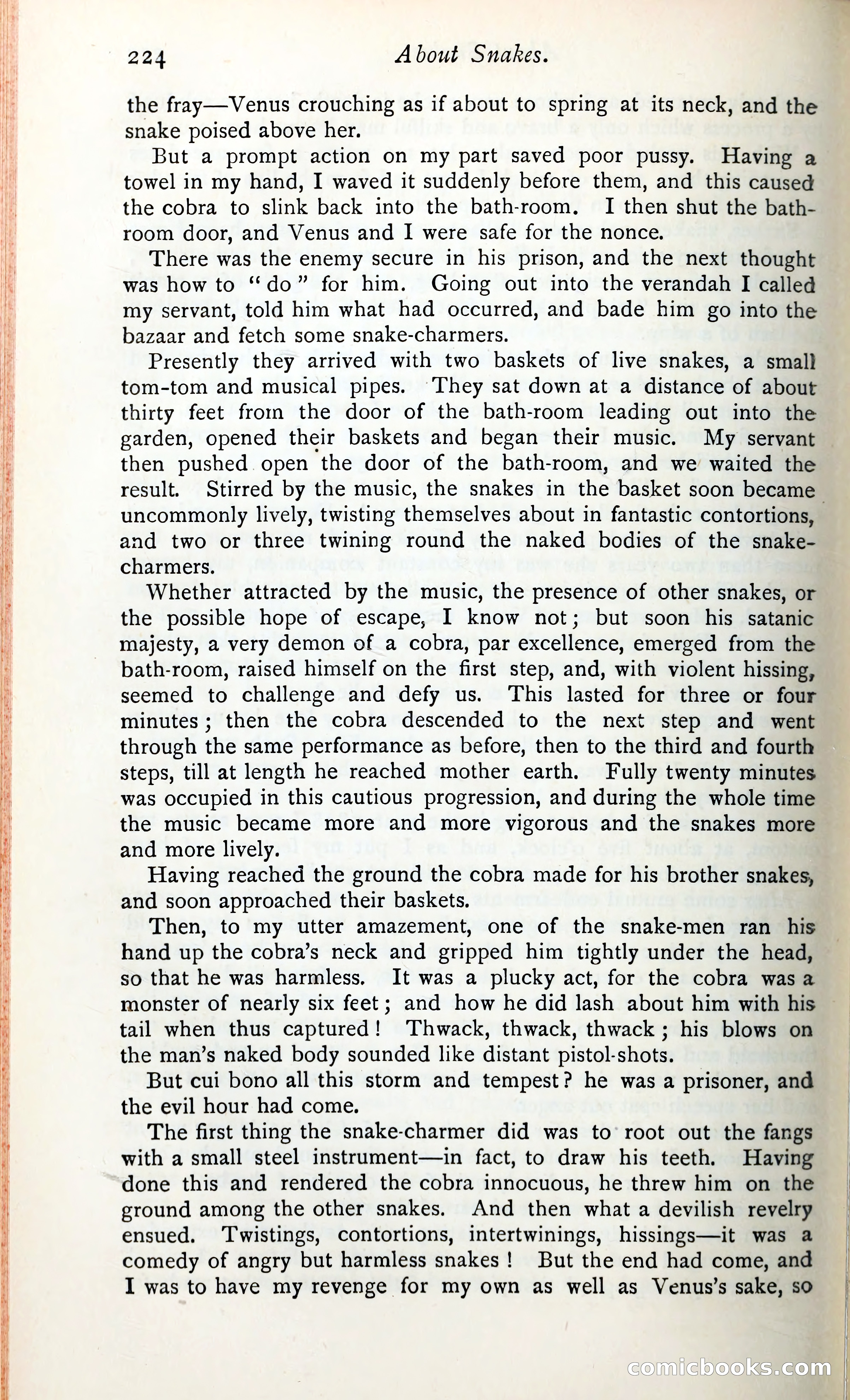 The Argosy — page 241 of 399