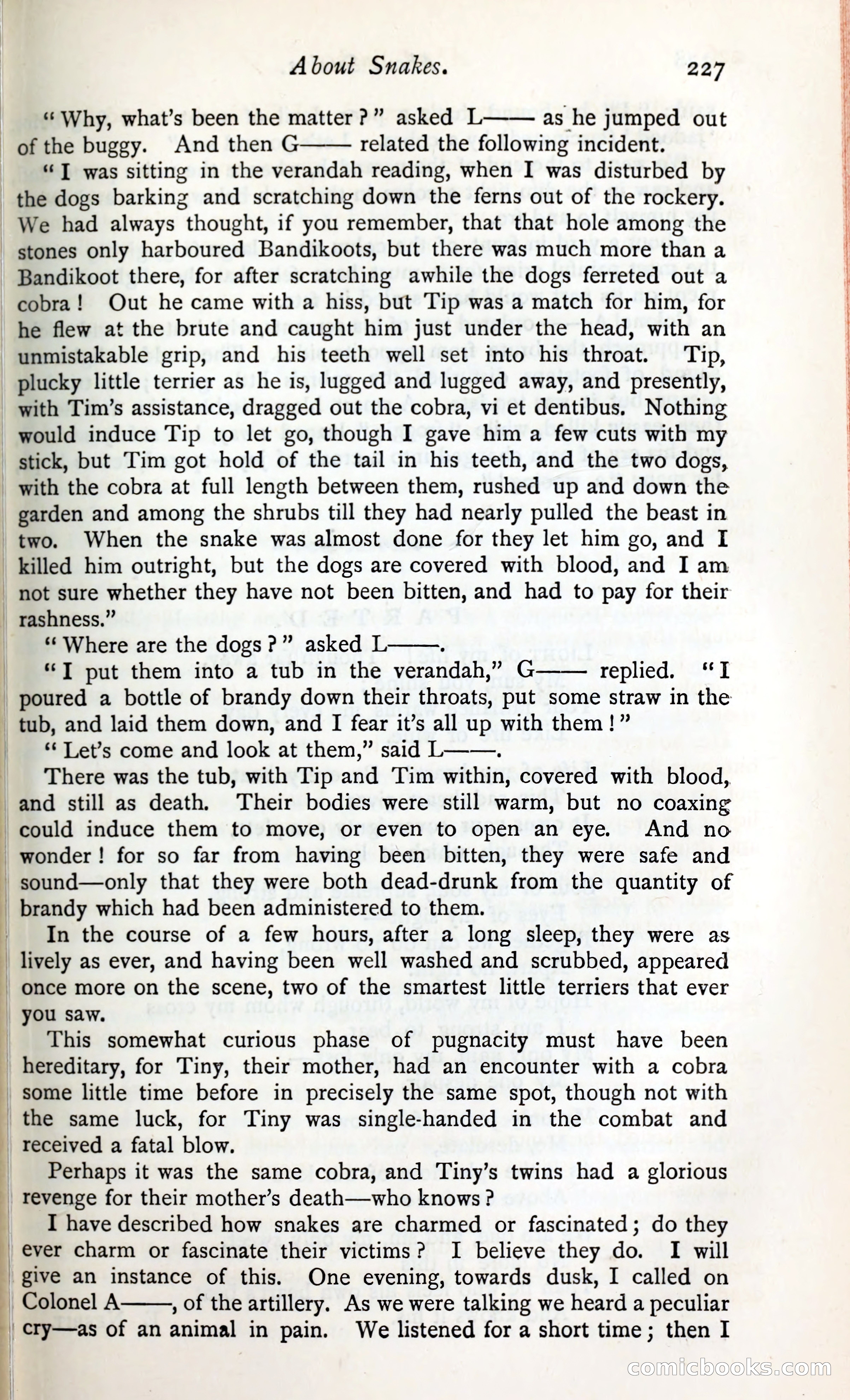The Argosy — page 244 of 399