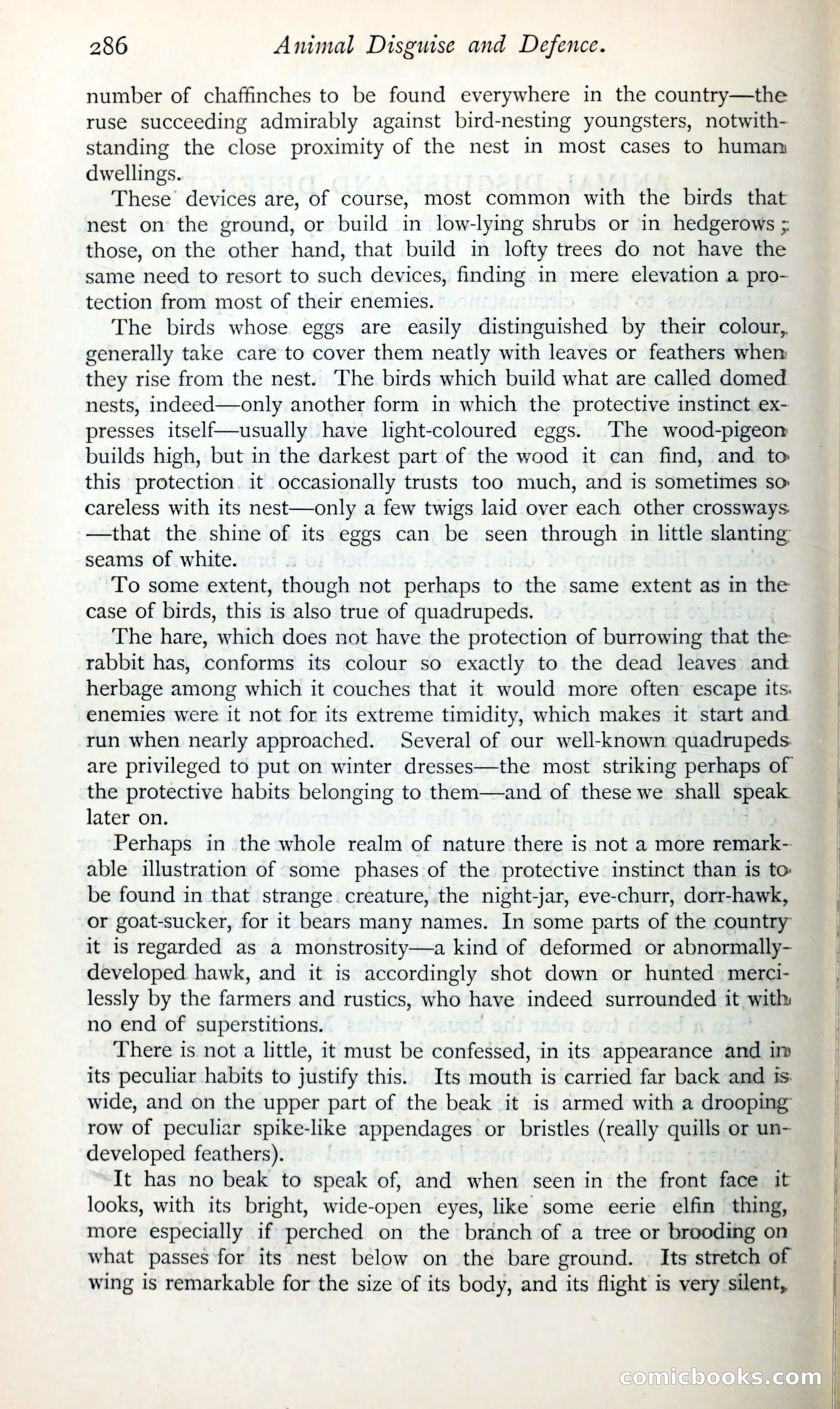 The Argosy — page 307 of 399