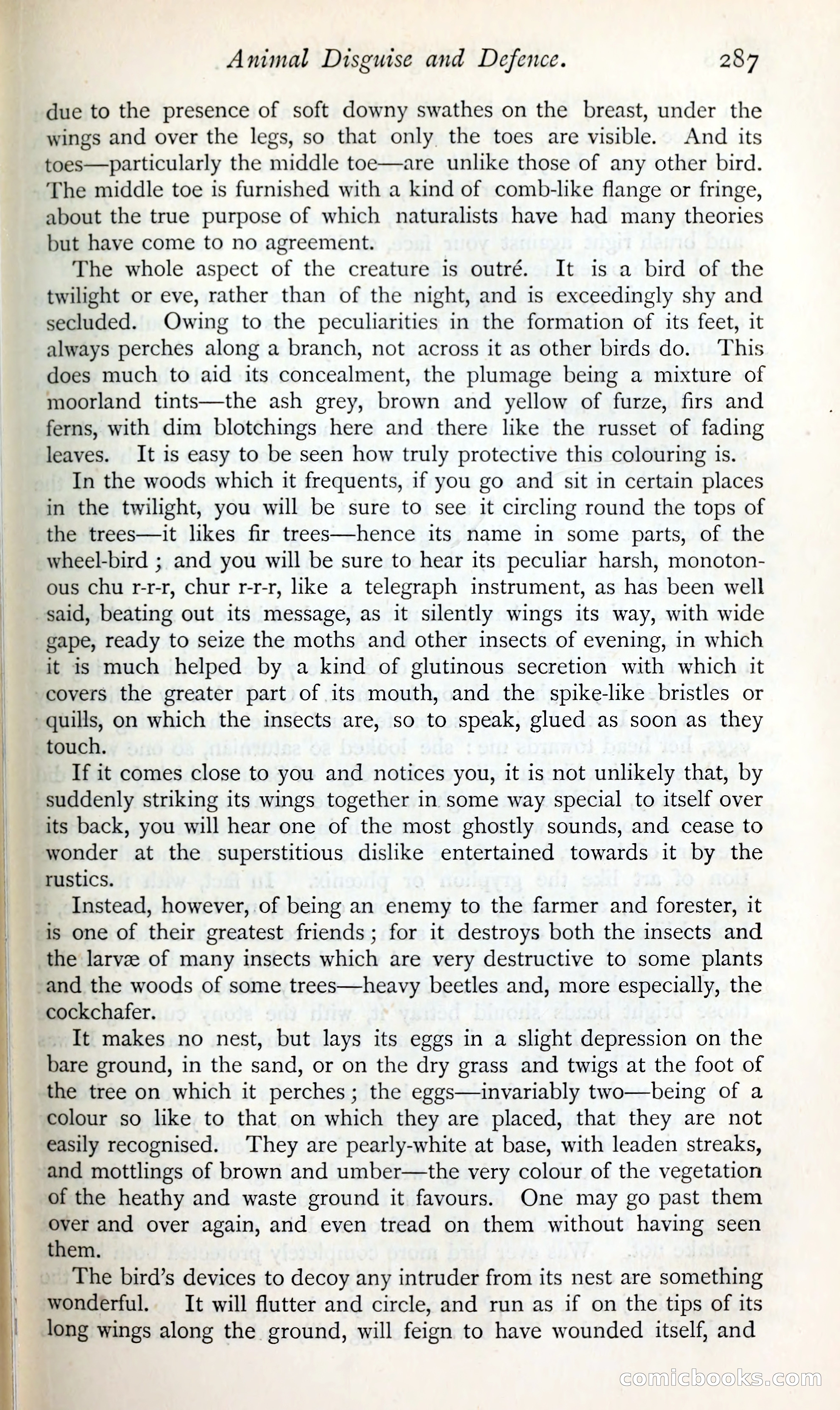 The Argosy — page 308 of 399