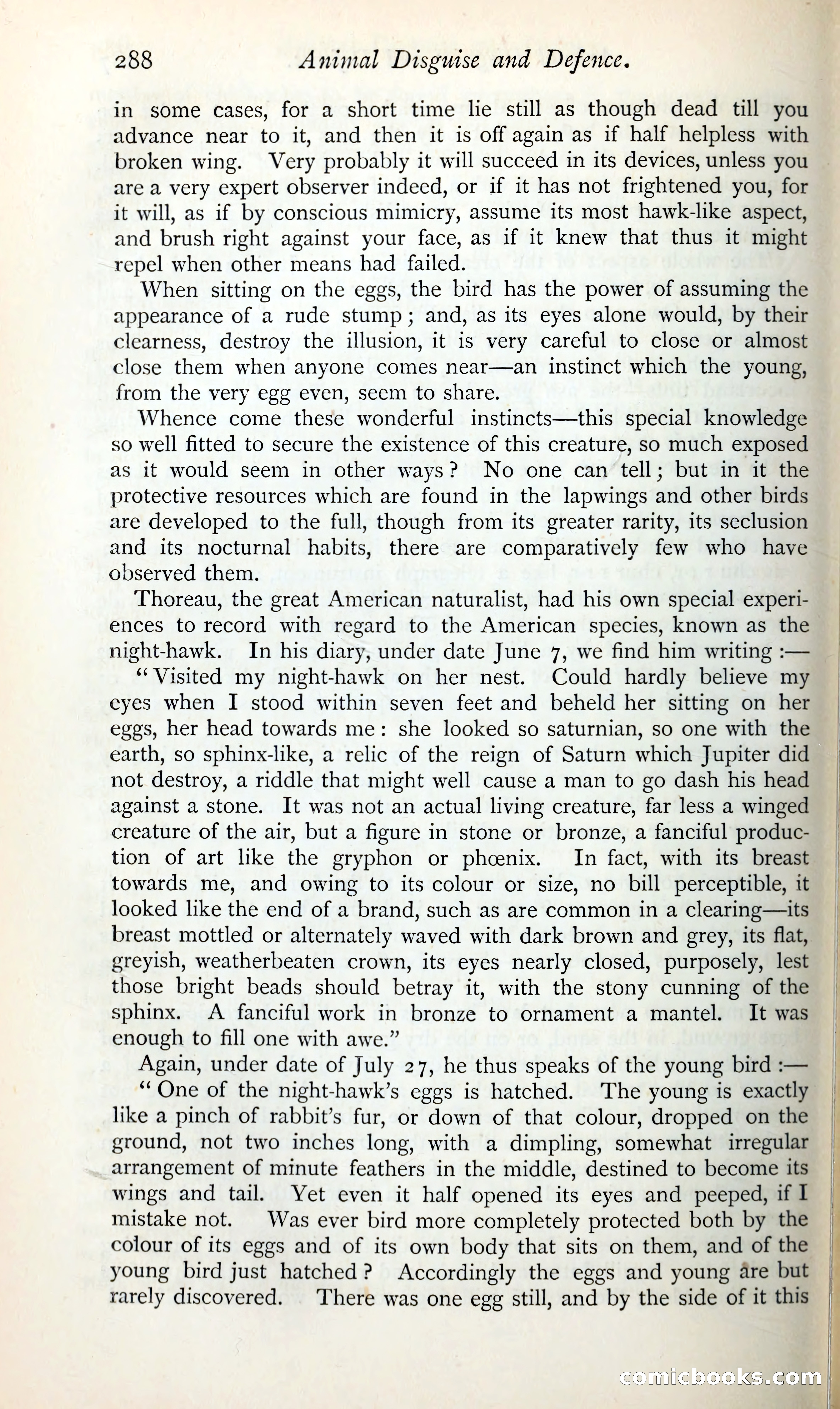 The Argosy — page 309 of 399