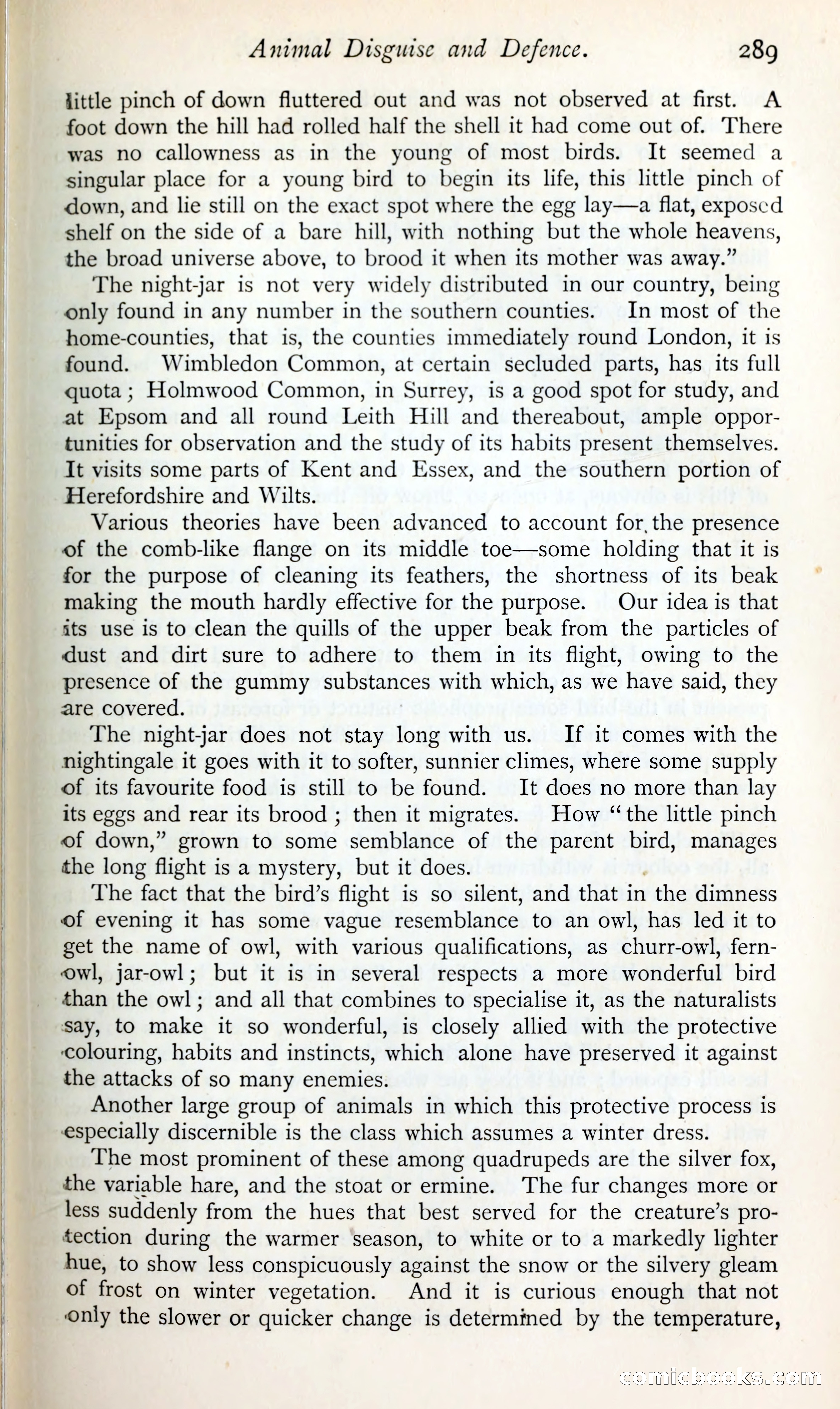 The Argosy — page 310 of 399