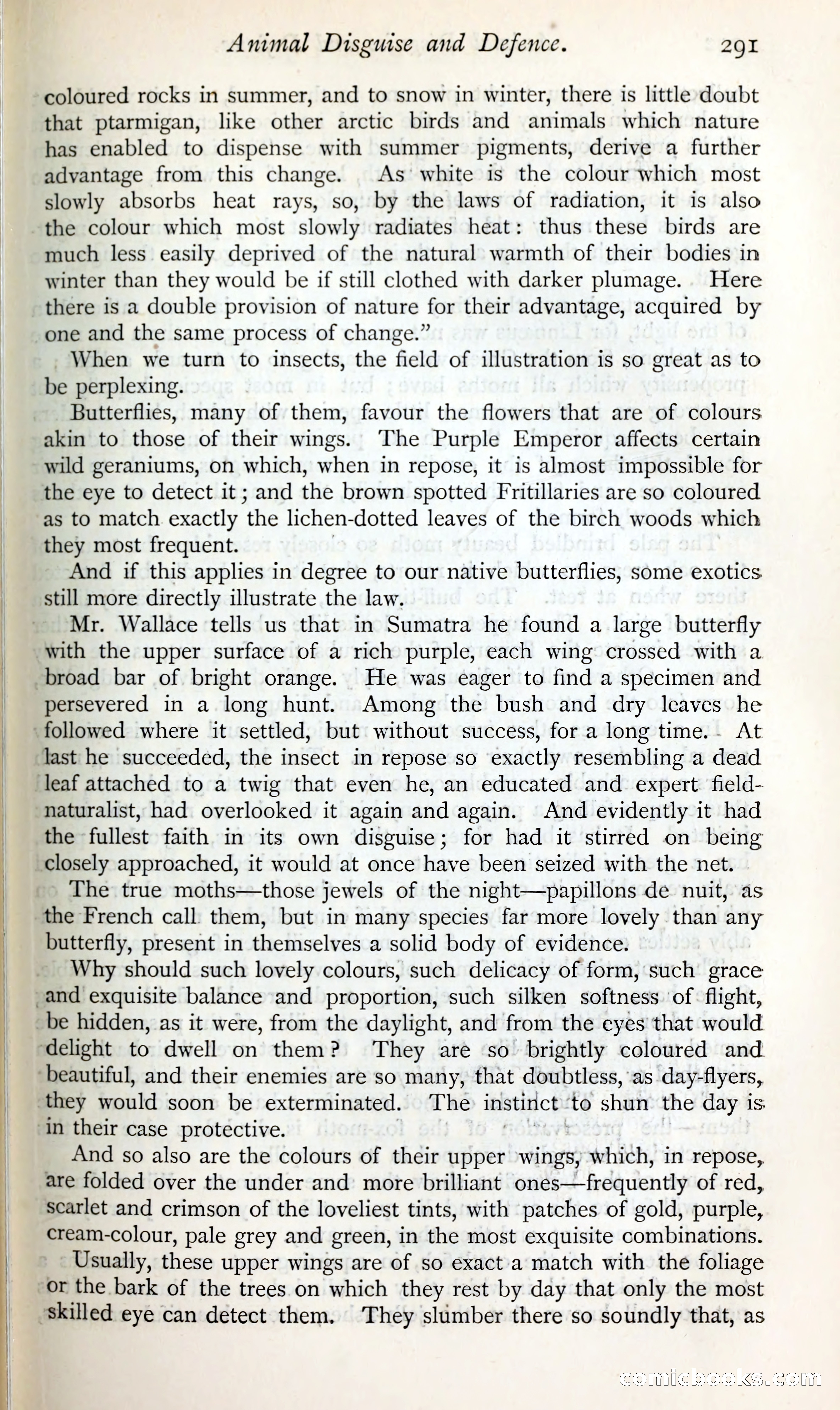 The Argosy — page 312 of 399