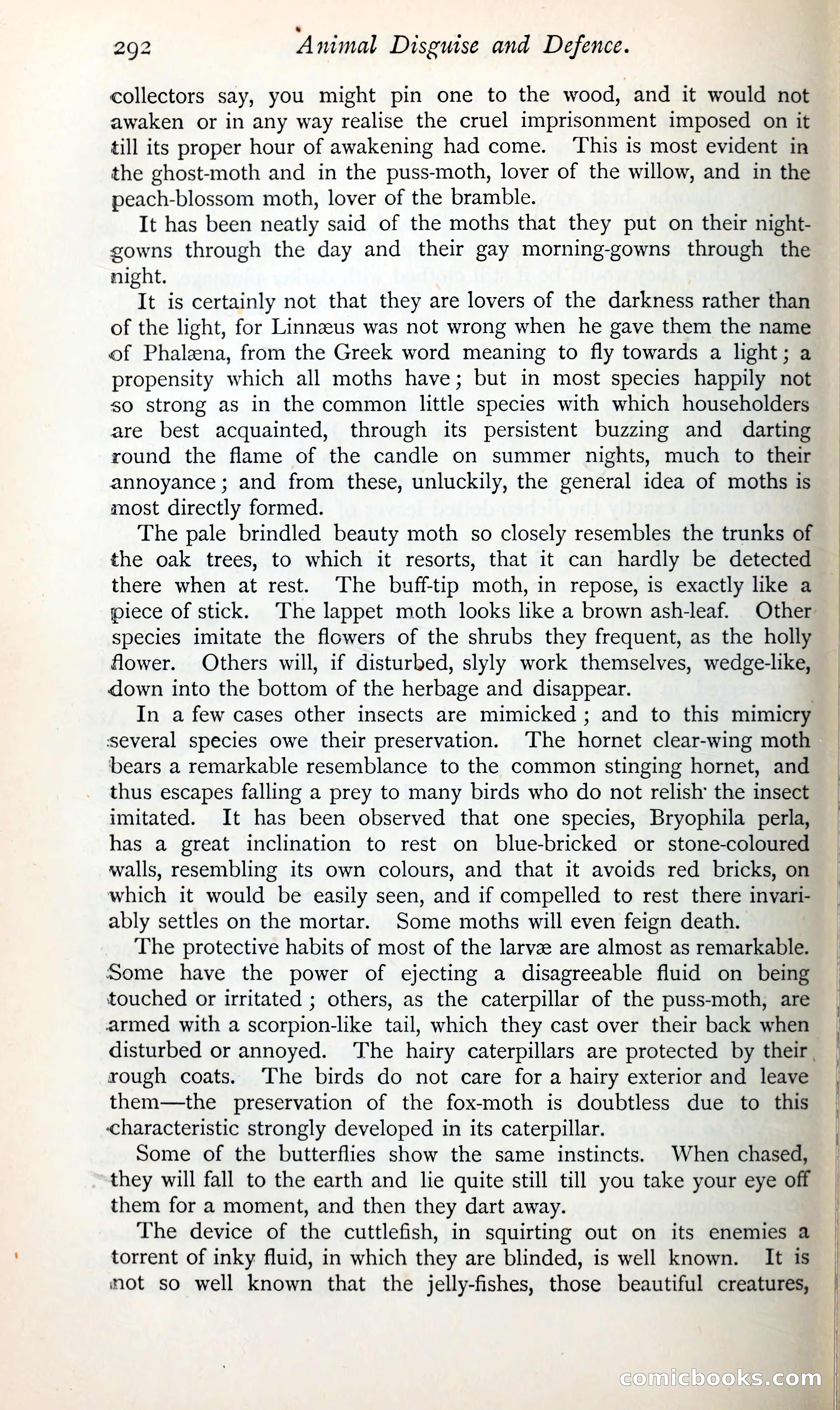 The Argosy — page 313 of 399