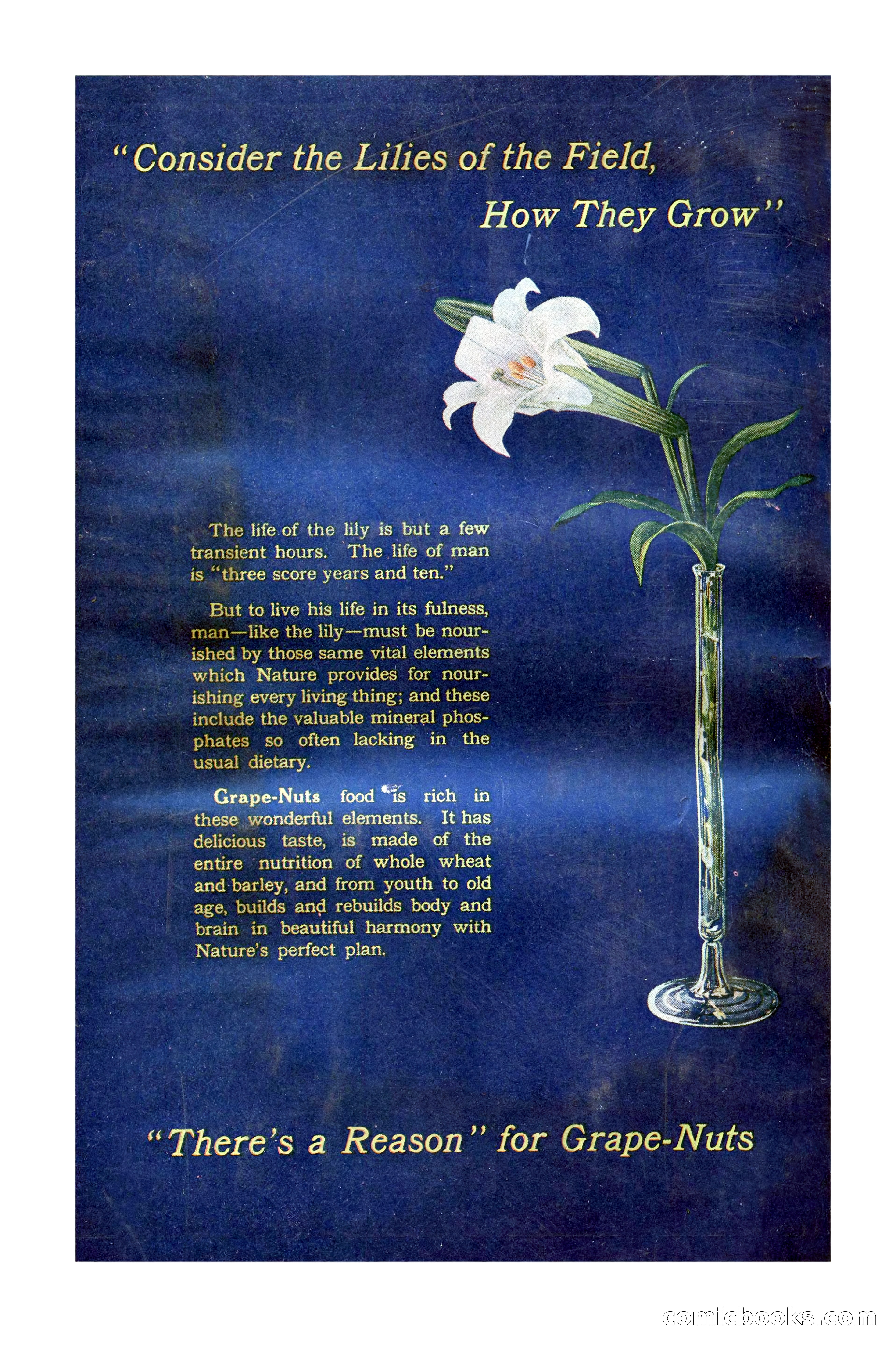 The Argosy, April 1916 — page 220 of 220