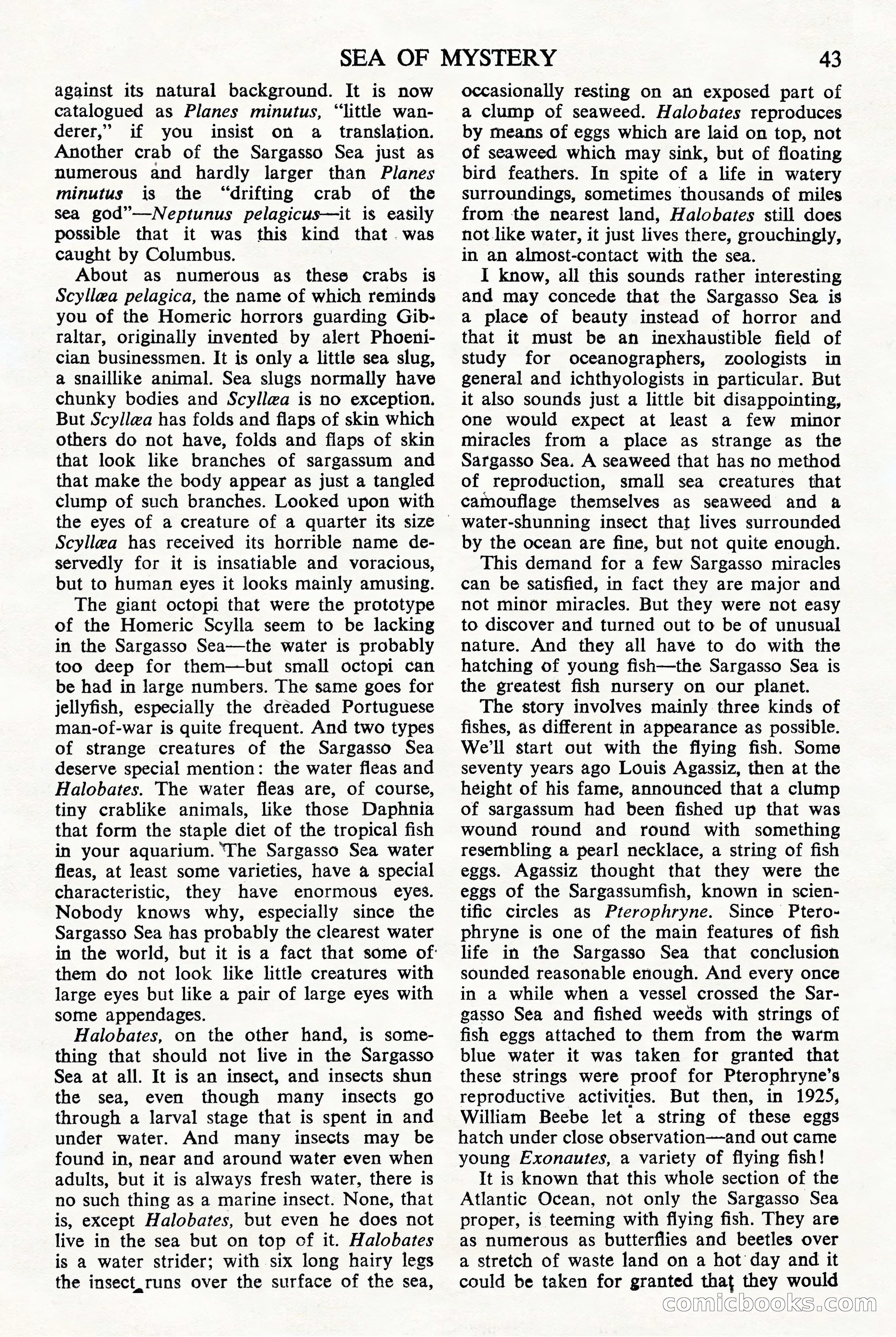 Astounding Science Fiction (British Edition) — page 45 of 68