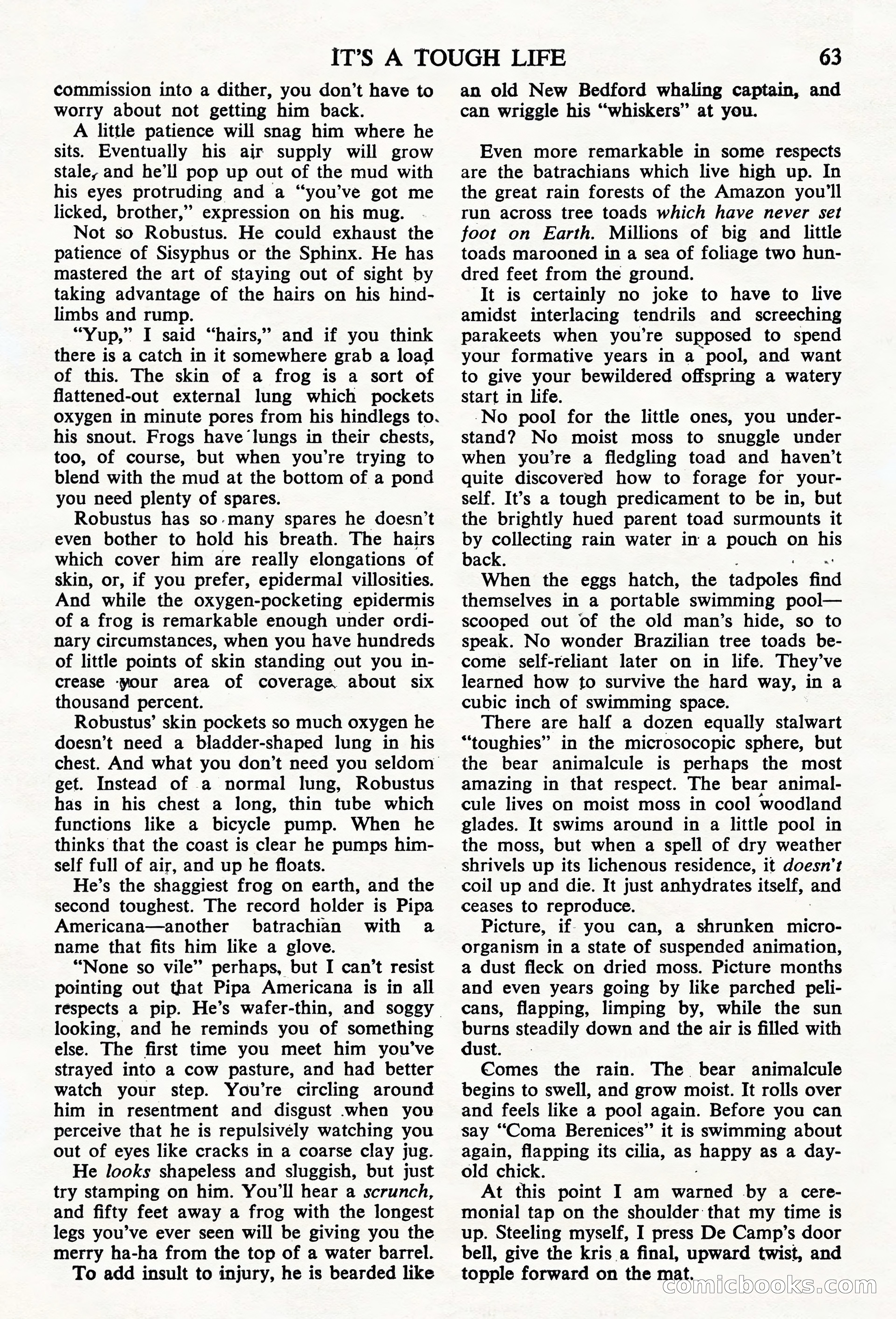 Astounding Science Fiction, British Edition — page 65 of 68