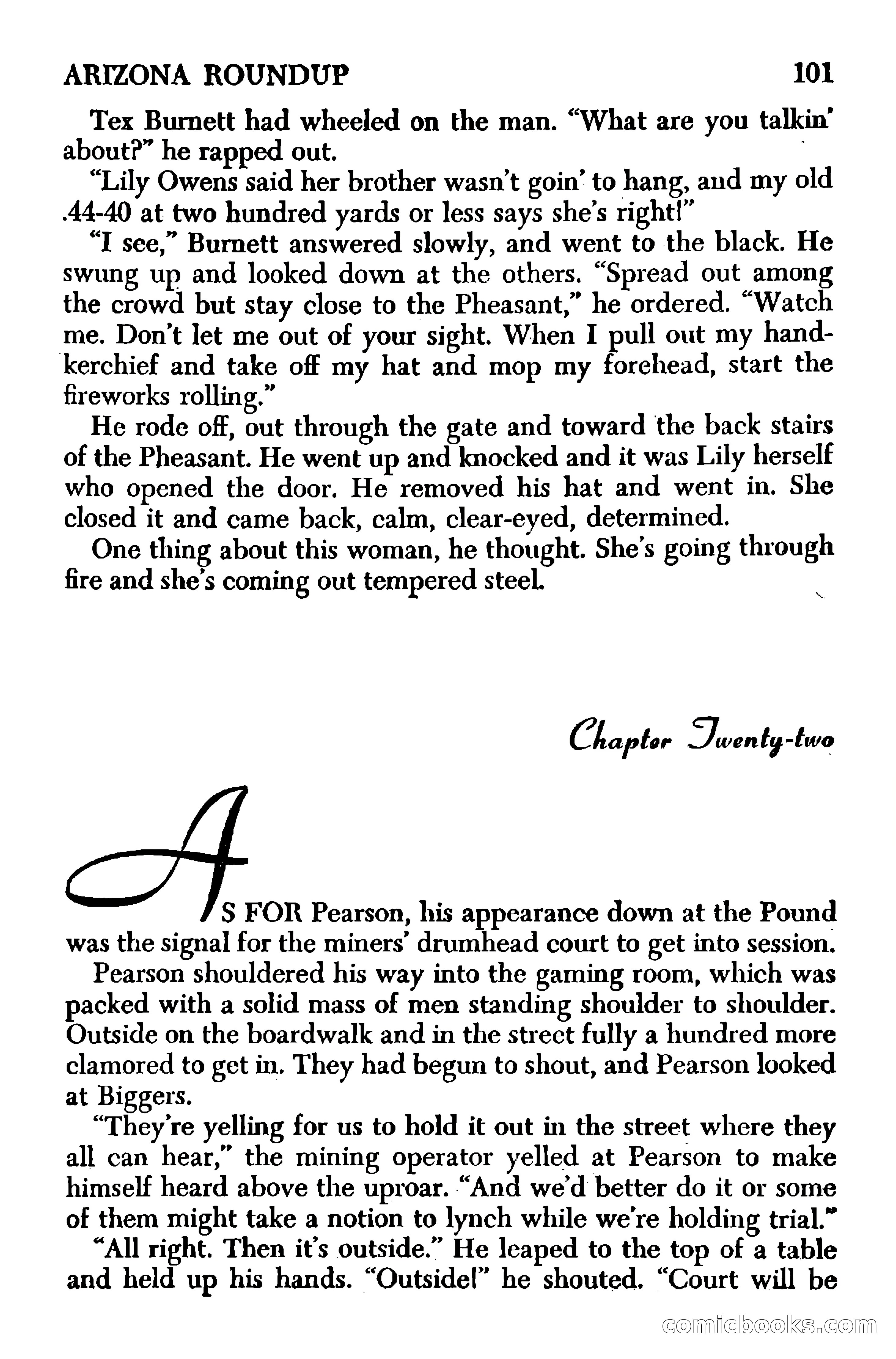 Arizona Round-Up — page 103 of 133