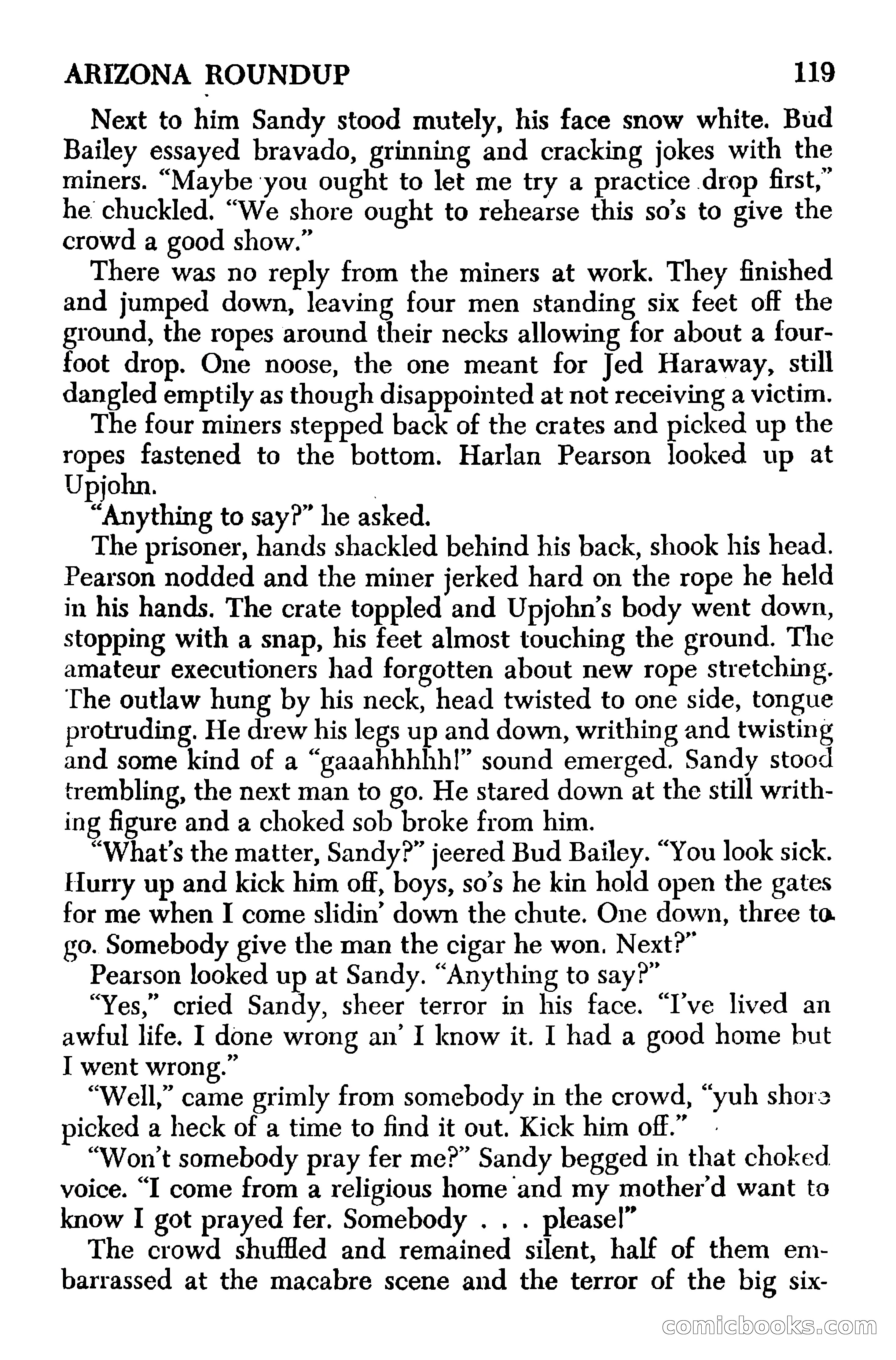 Arizona Round-Up — page 121 of 133