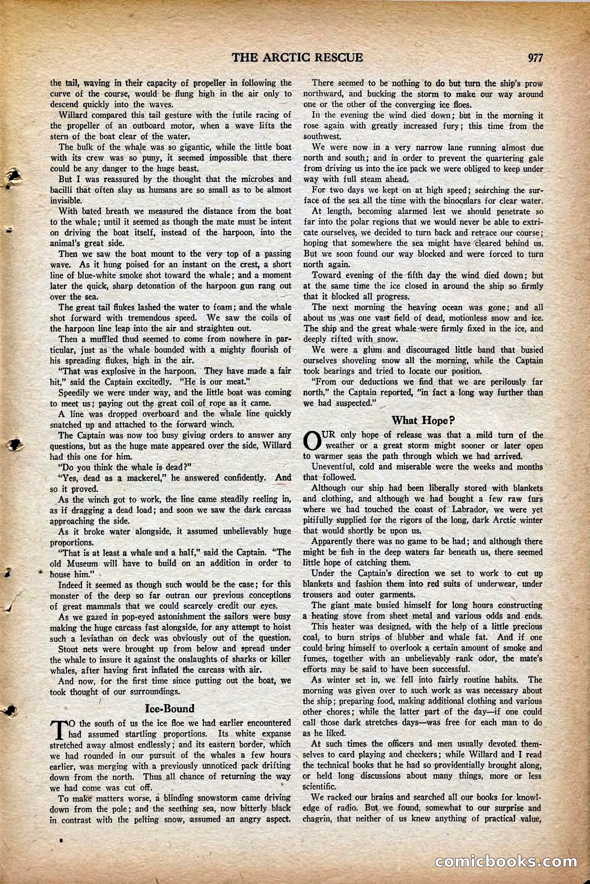 Air Wonder Stories, May 1930 — page 19 of 100
