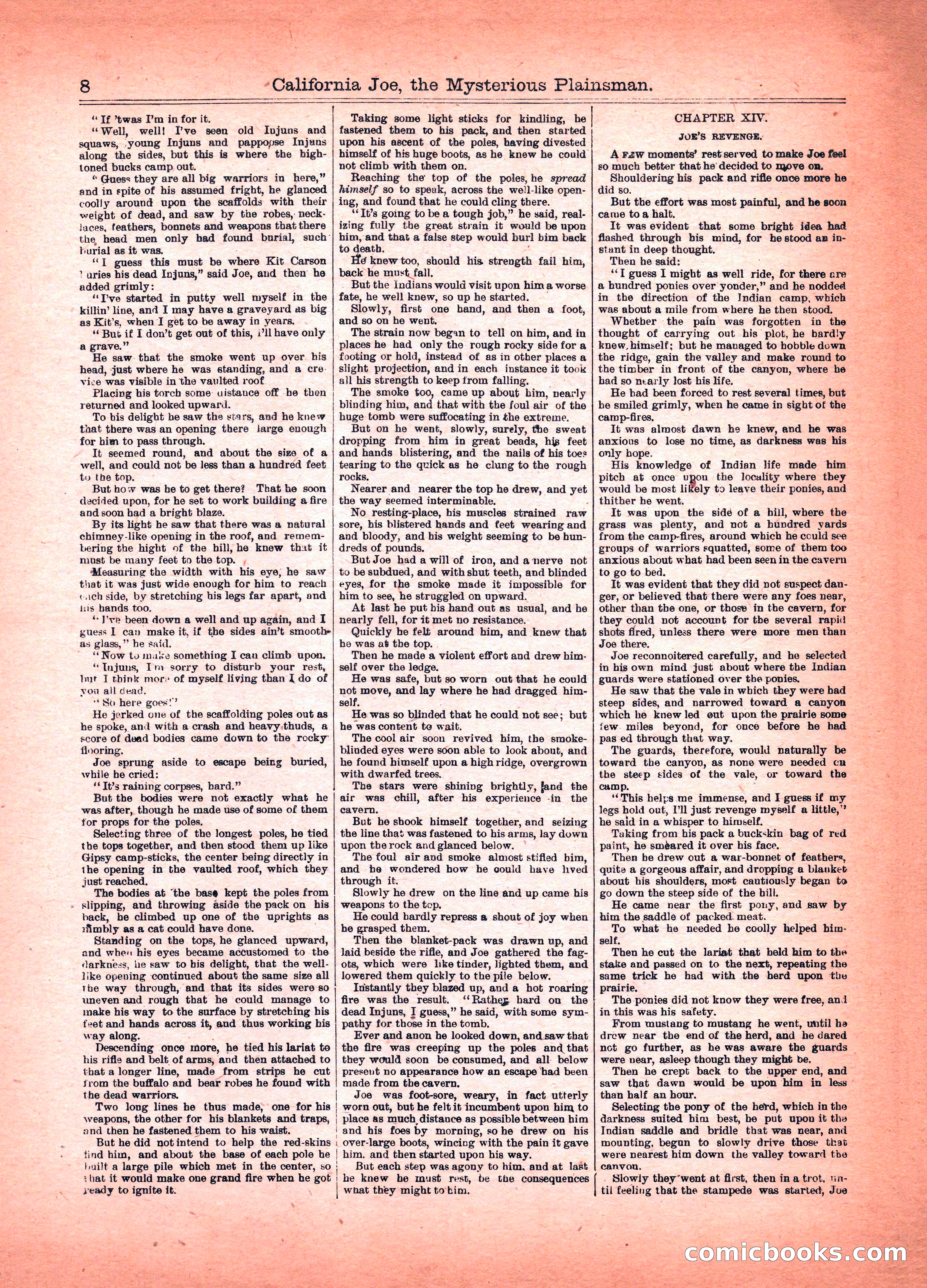 Beadle's Boys Library No. 54 — page 8 of 16