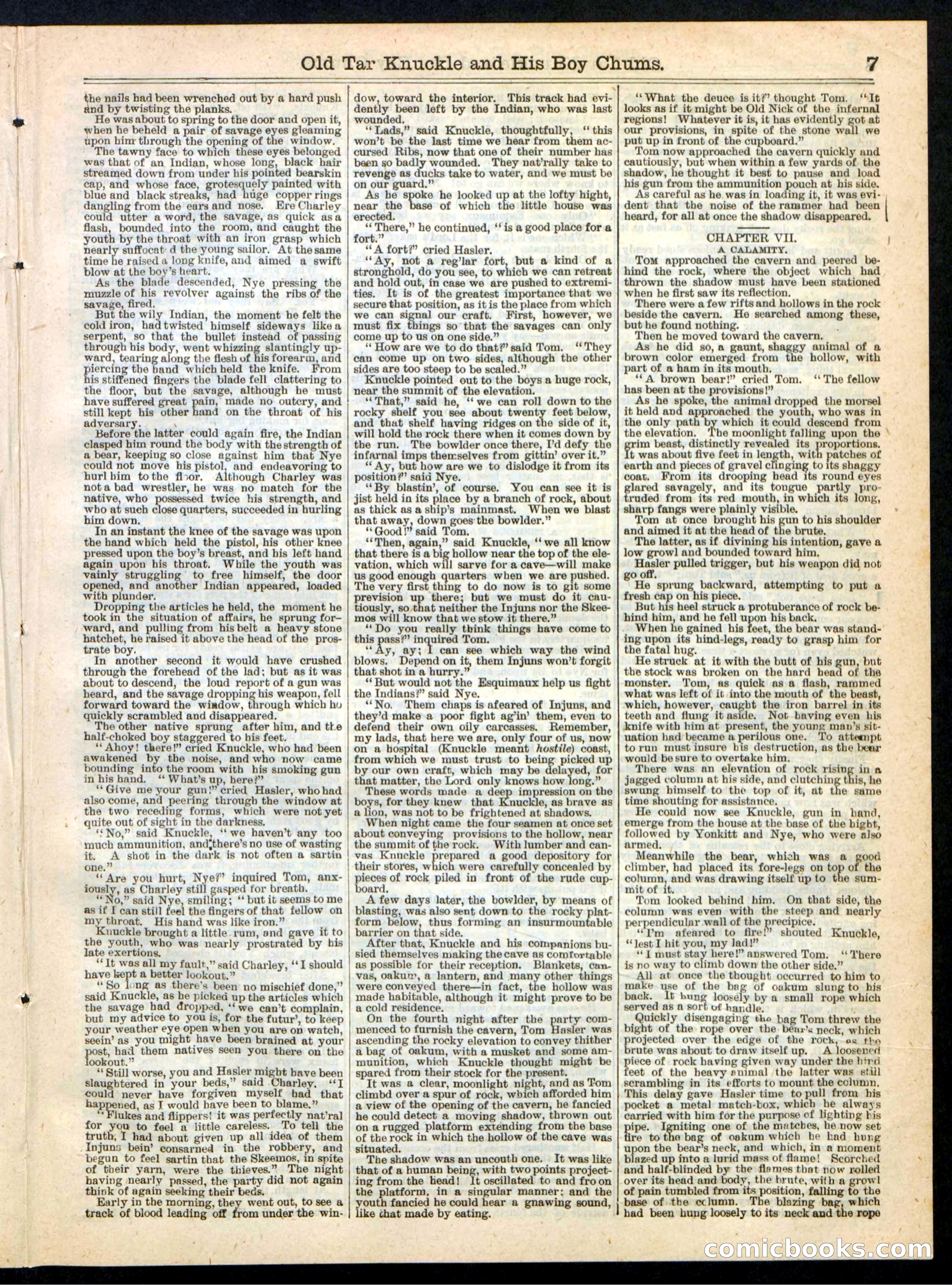 Beadle's Boy's Library of Sport, Story, and Adventure, No. 37 — page 7 of 16