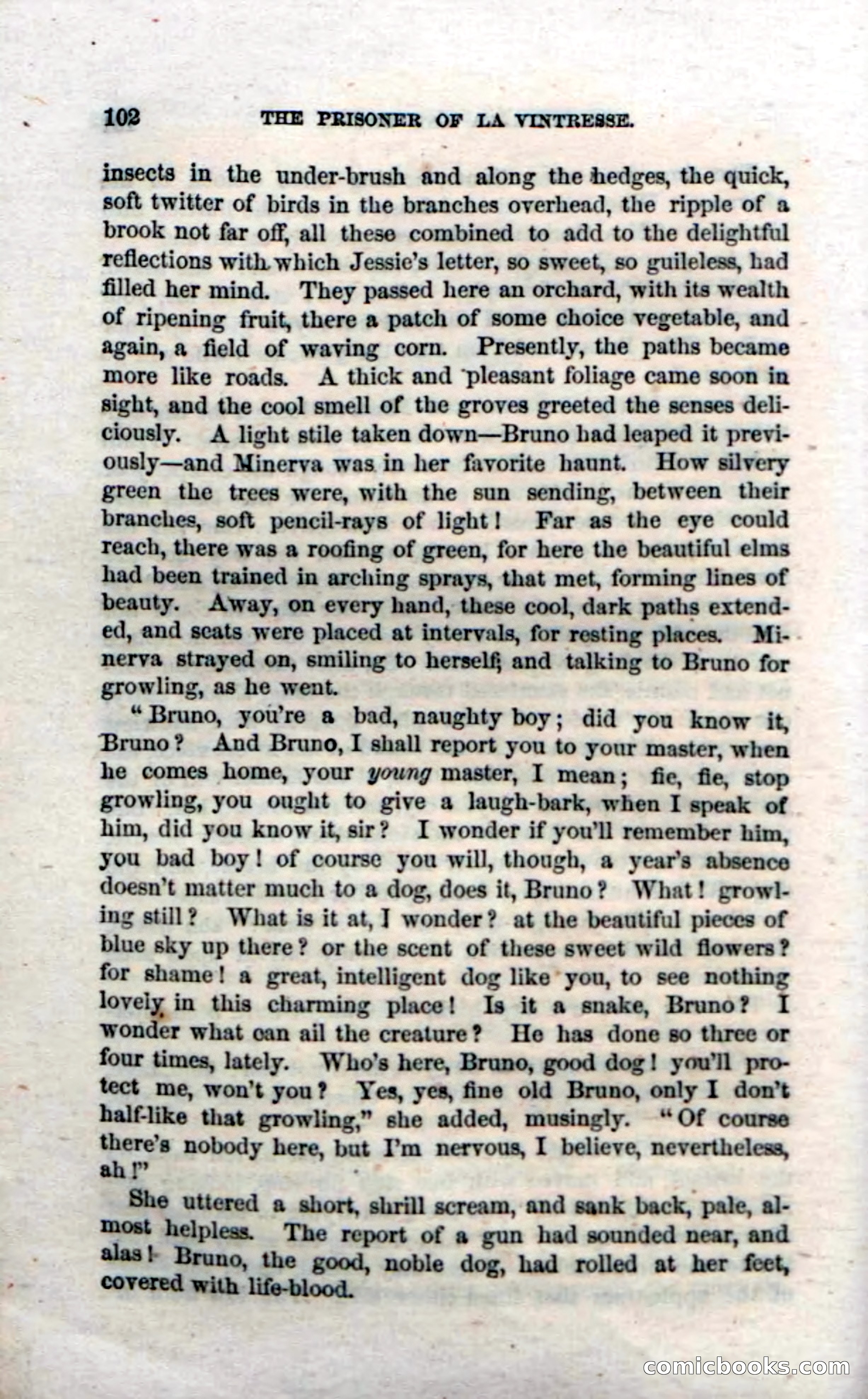 Beadle's Dime Novels, No. 11 — page 104 of 134