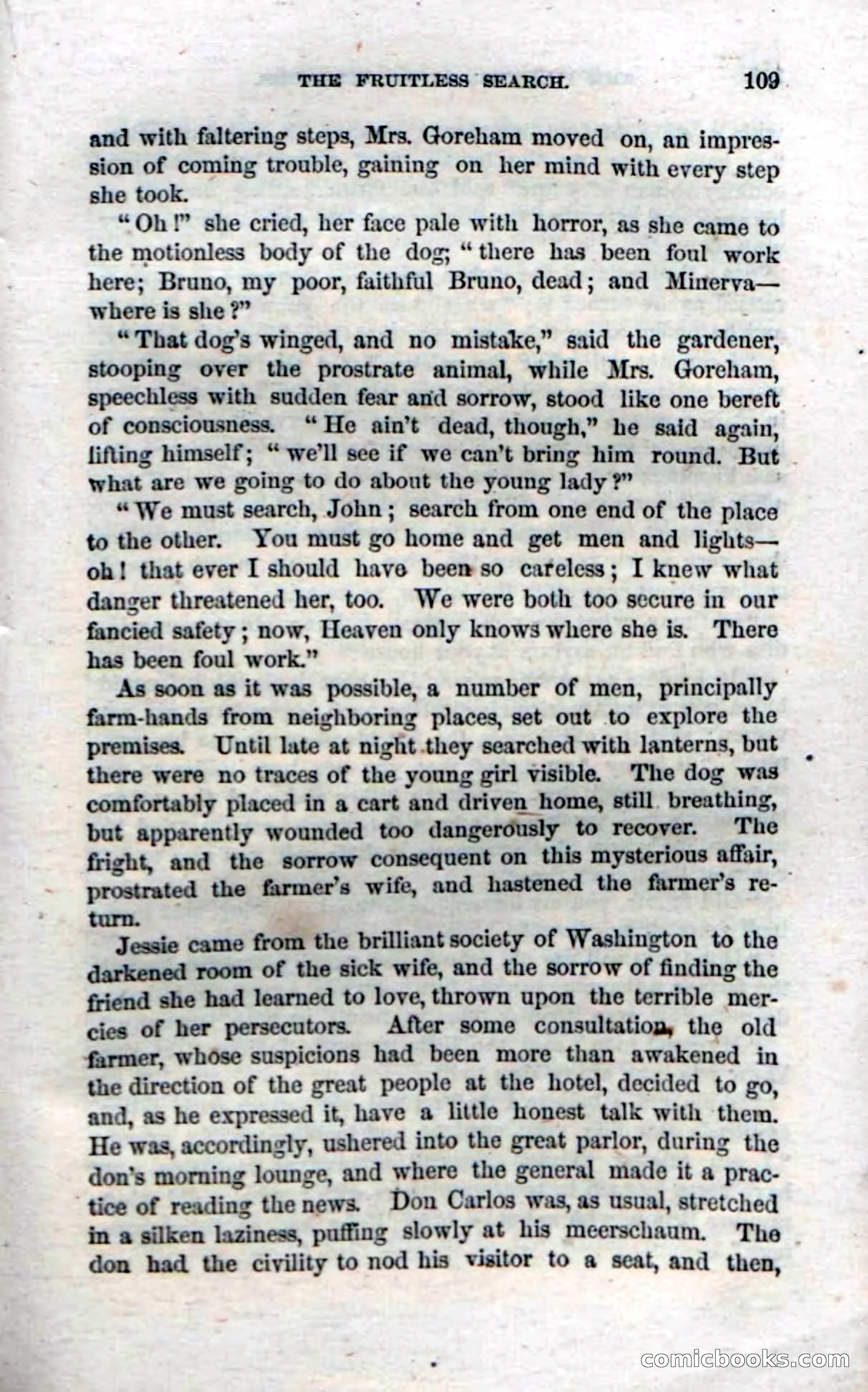 Beadle's Dime Novels, No. 11 — page 111 of 134
