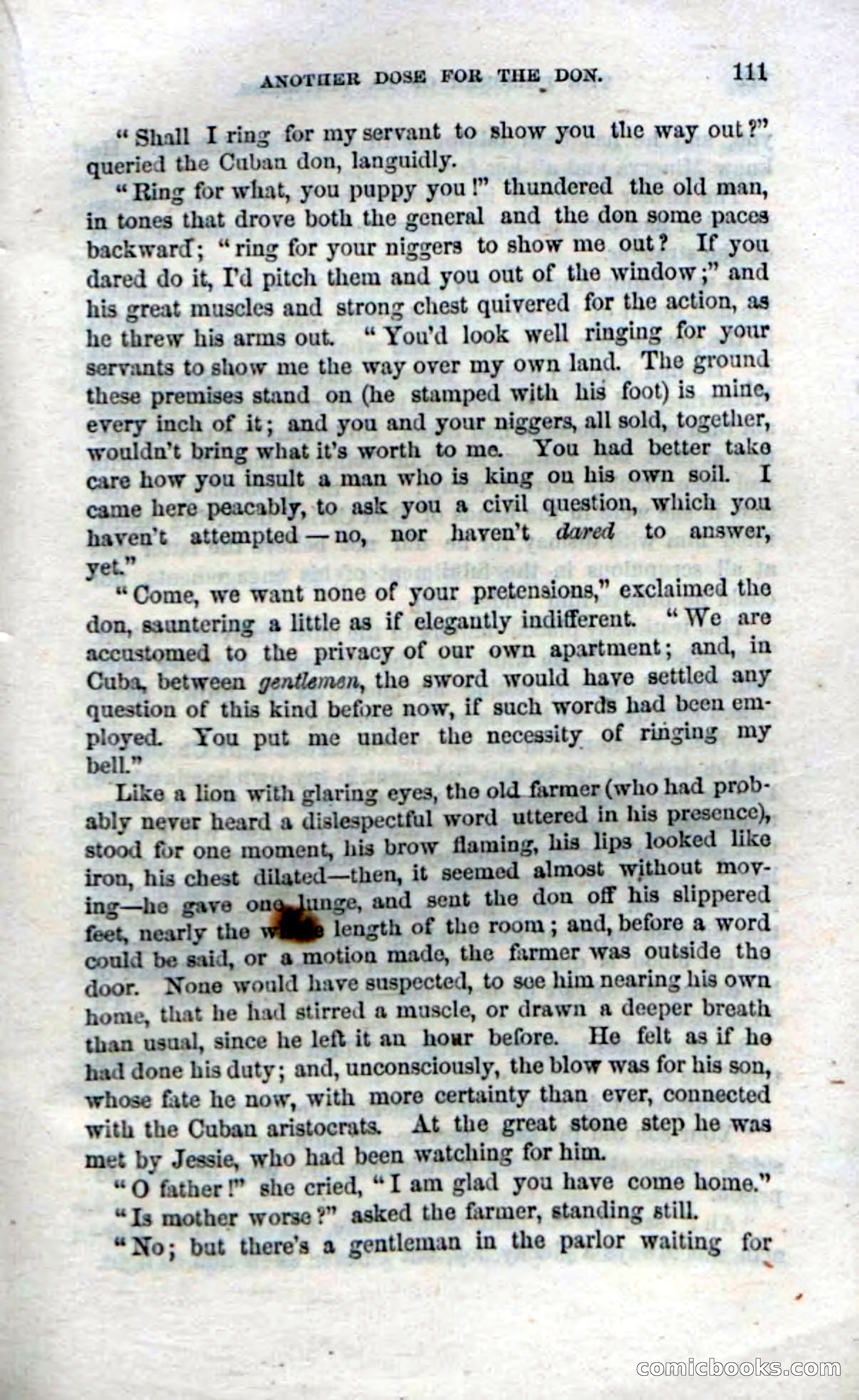 Beadle's Dime Novels, No. 11 — page 113 of 134