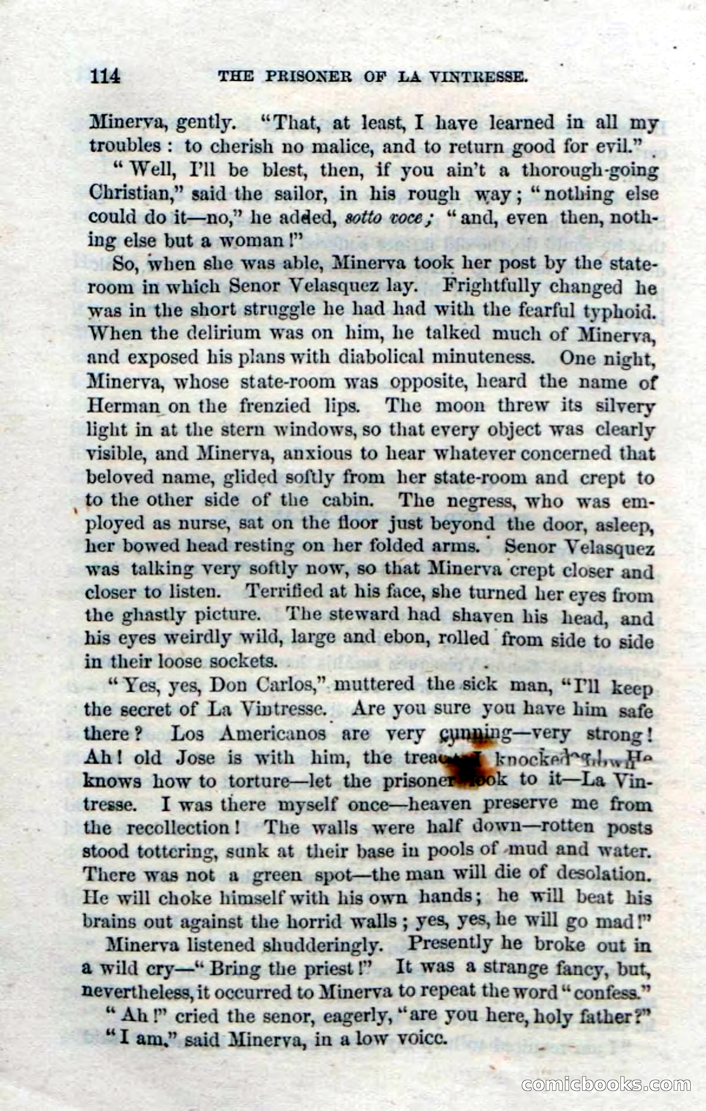 Beadle's Dime Novels, No. 11 — page 116 of 134