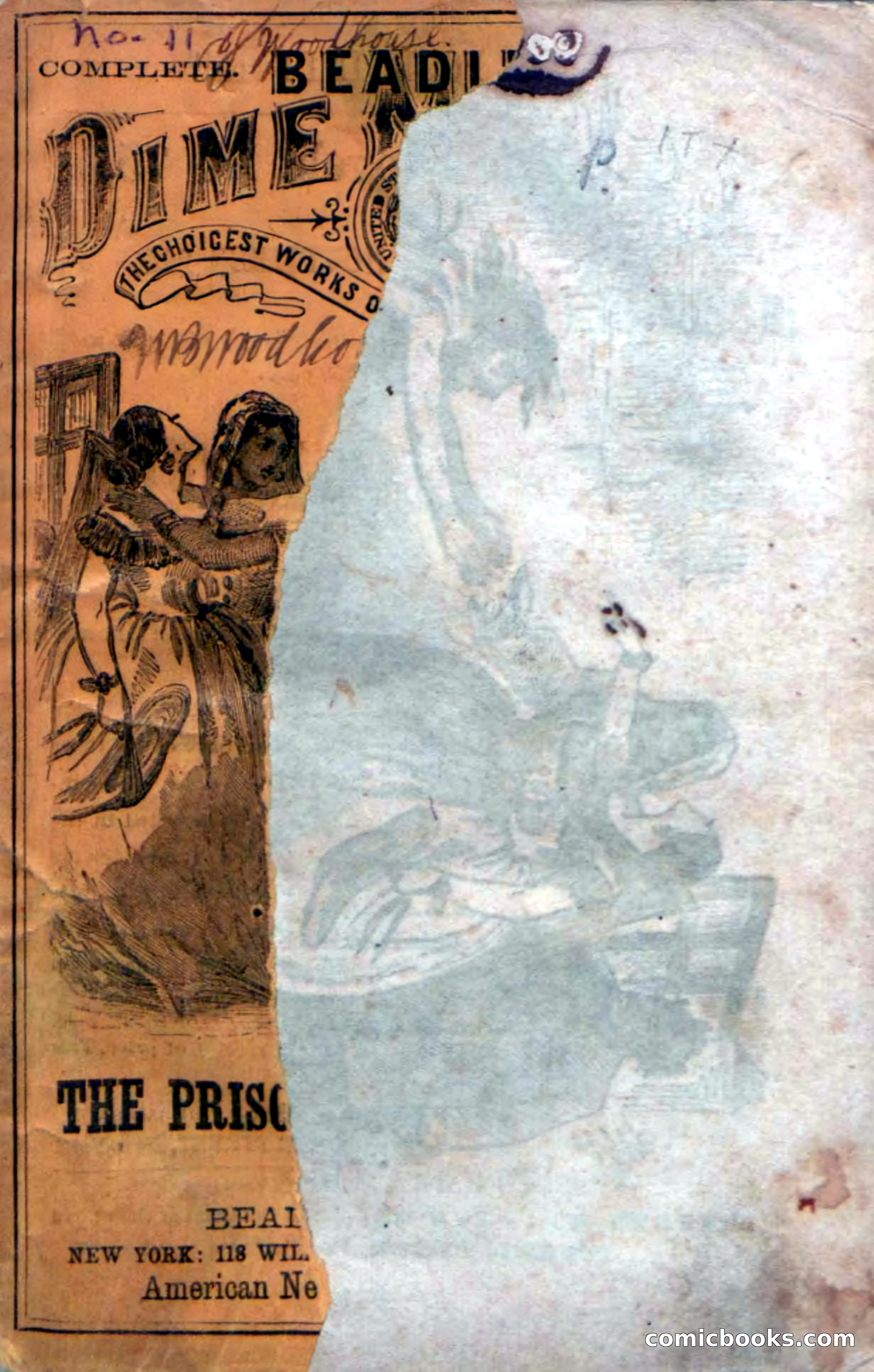 Beadle's Dime Novels, No. 11 — page 133 of 134
