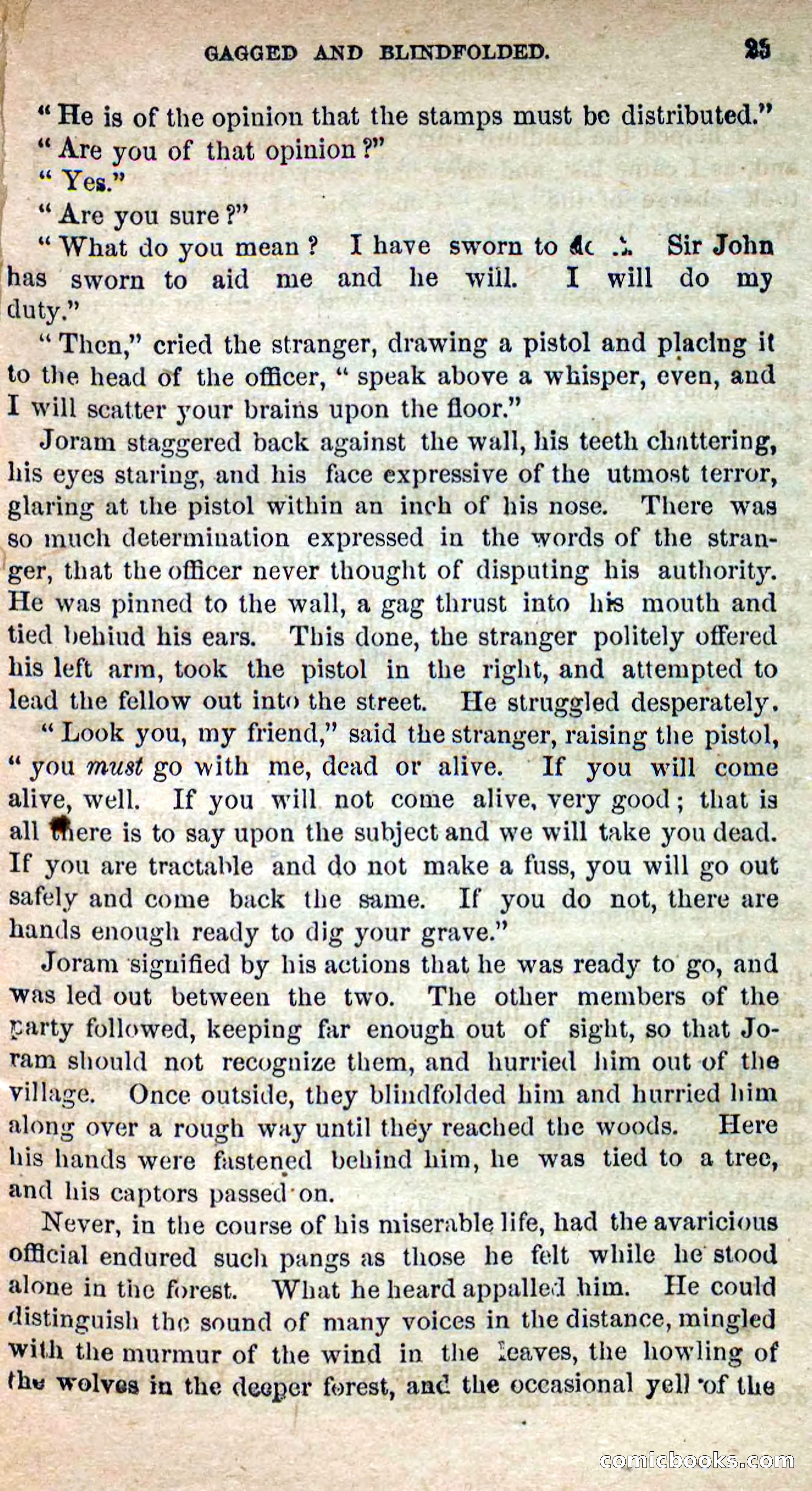 Beadle's Dime Novels No. 115: The Sons of Liberty — page 21 of 100