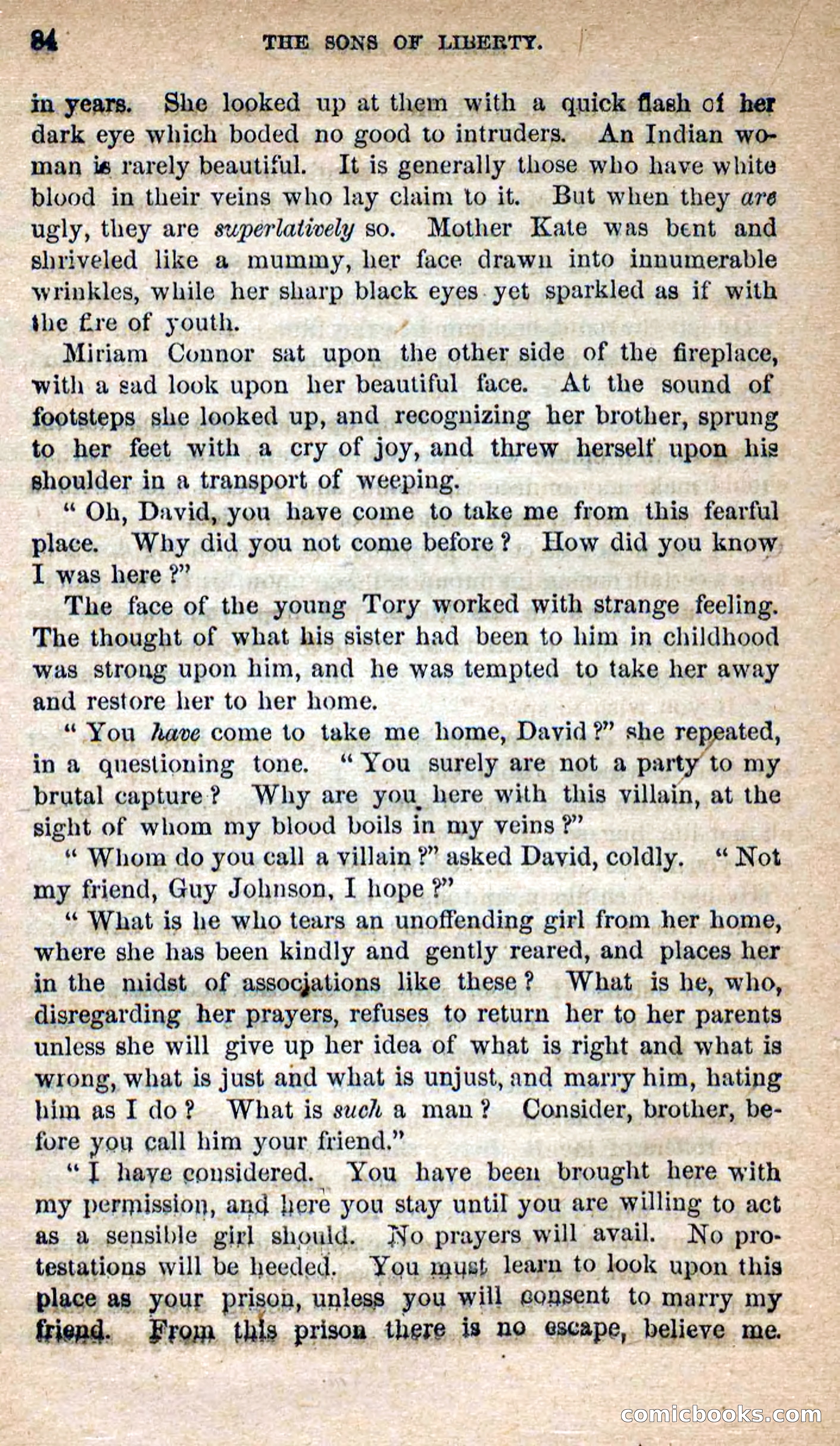 Beadle's Dime Novels No. 115: The Sons of Liberty — page 82 of 100