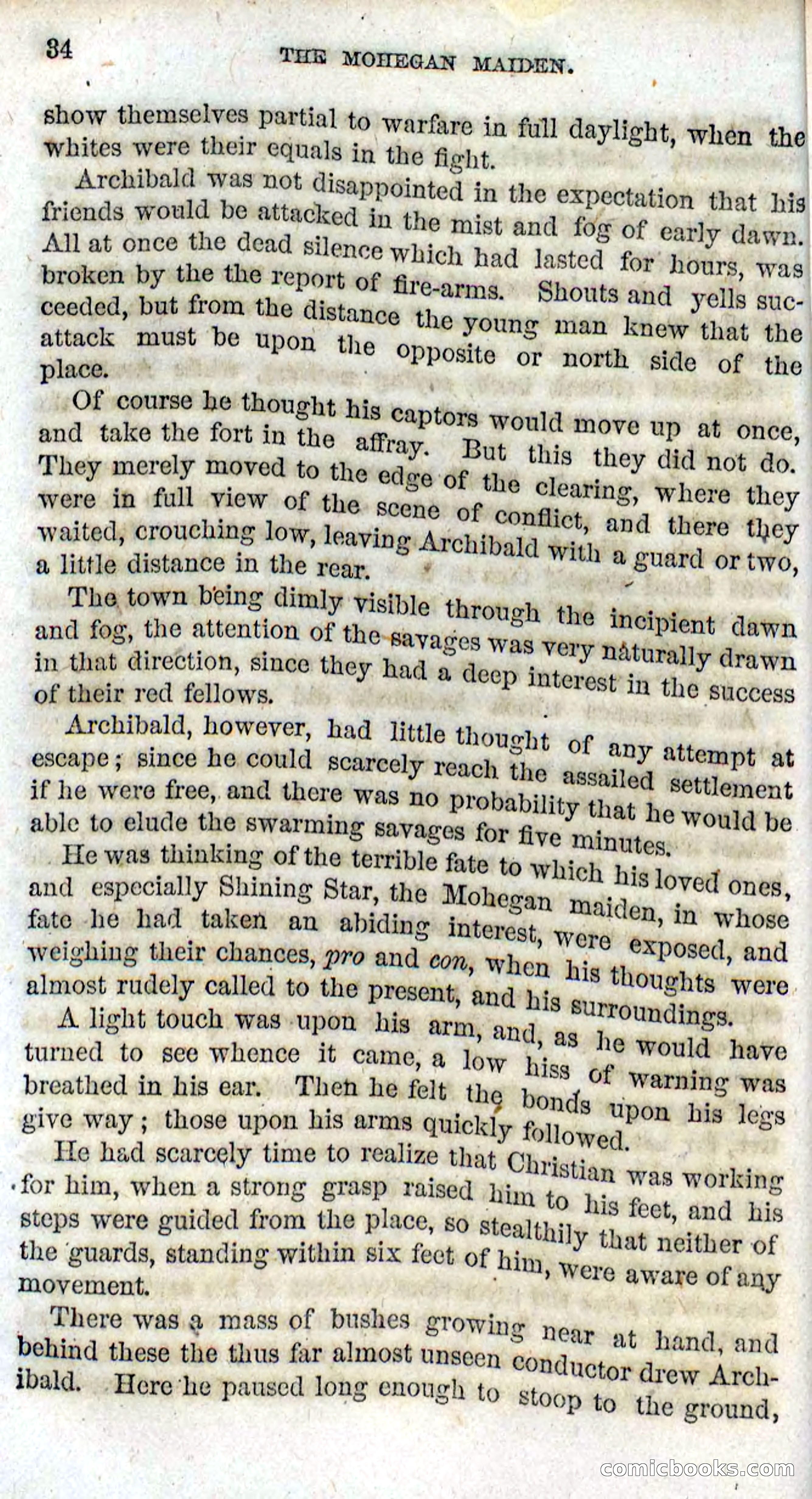 The Mohegan Maiden — page 32 of 99