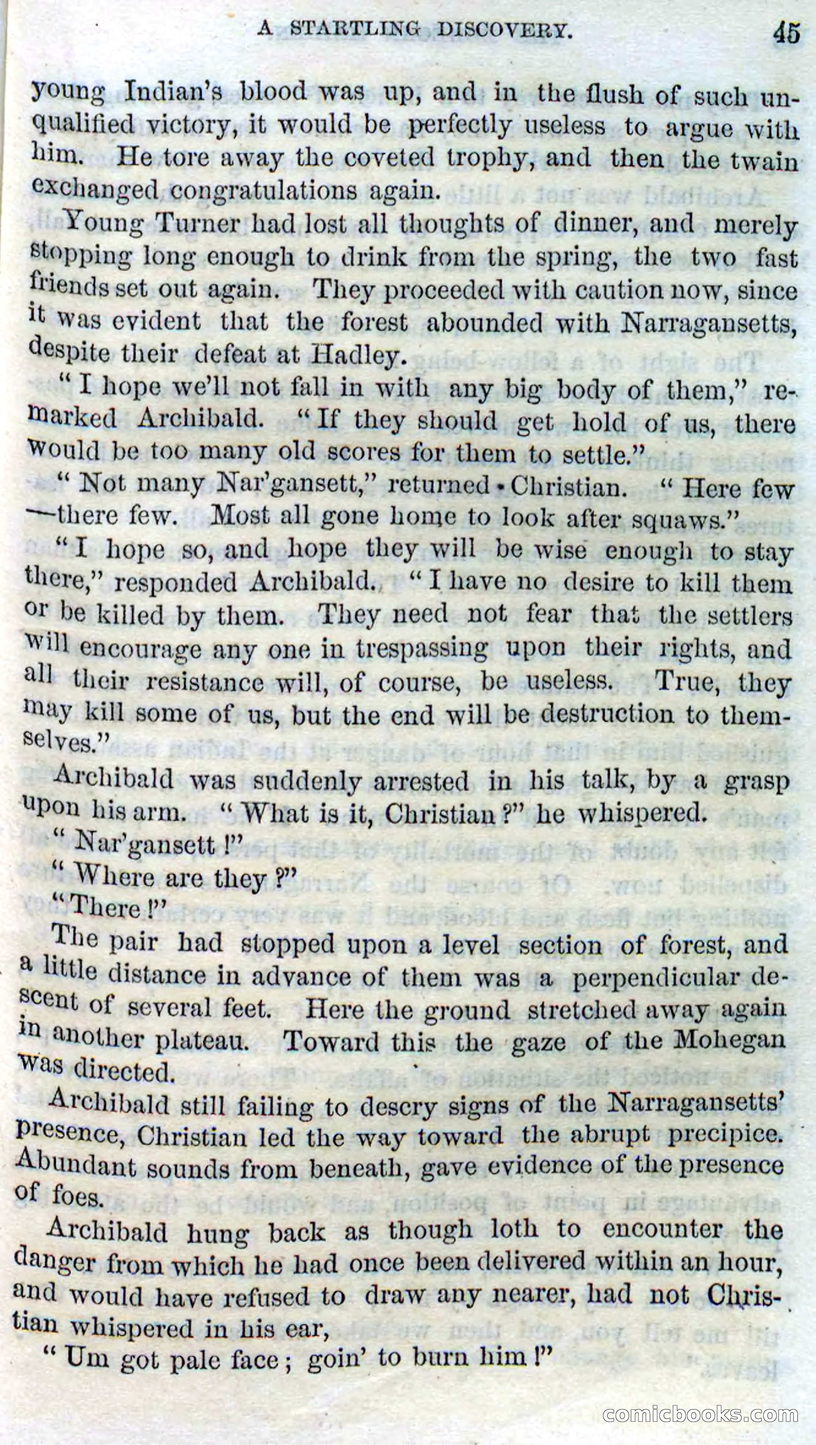 The Mohegan Maiden — page 43 of 99