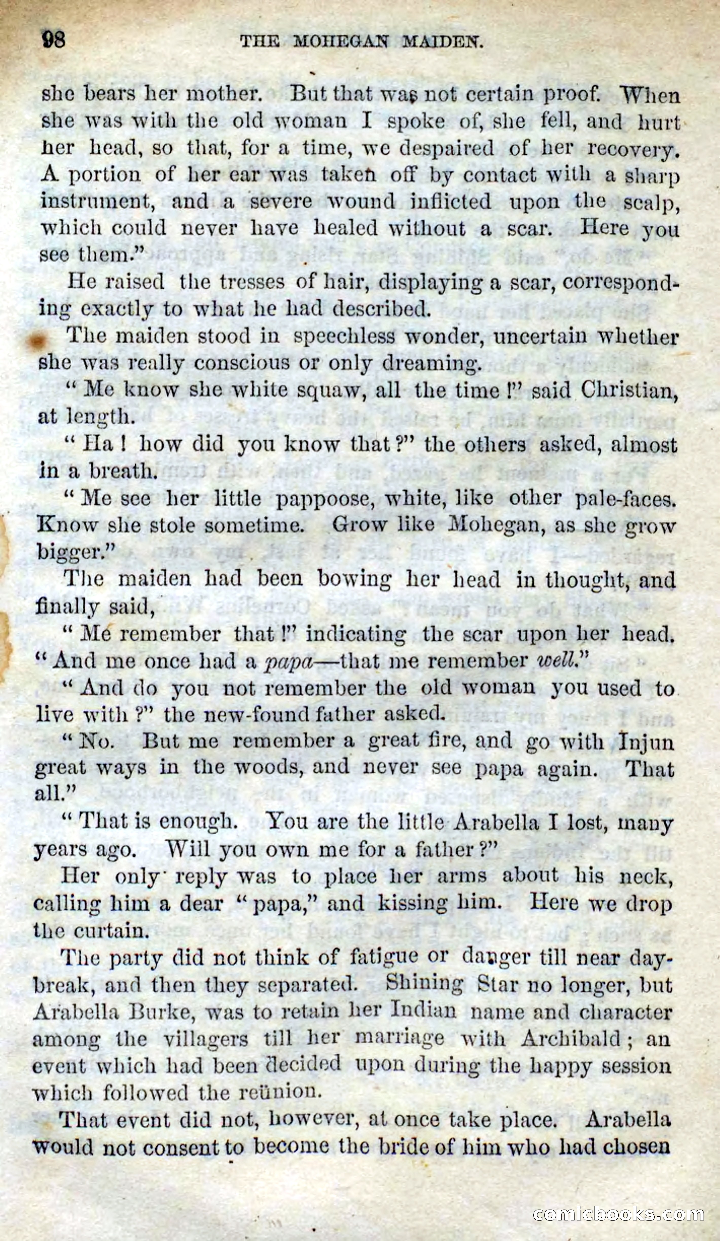 The Mohegan Maiden — page 96 of 99