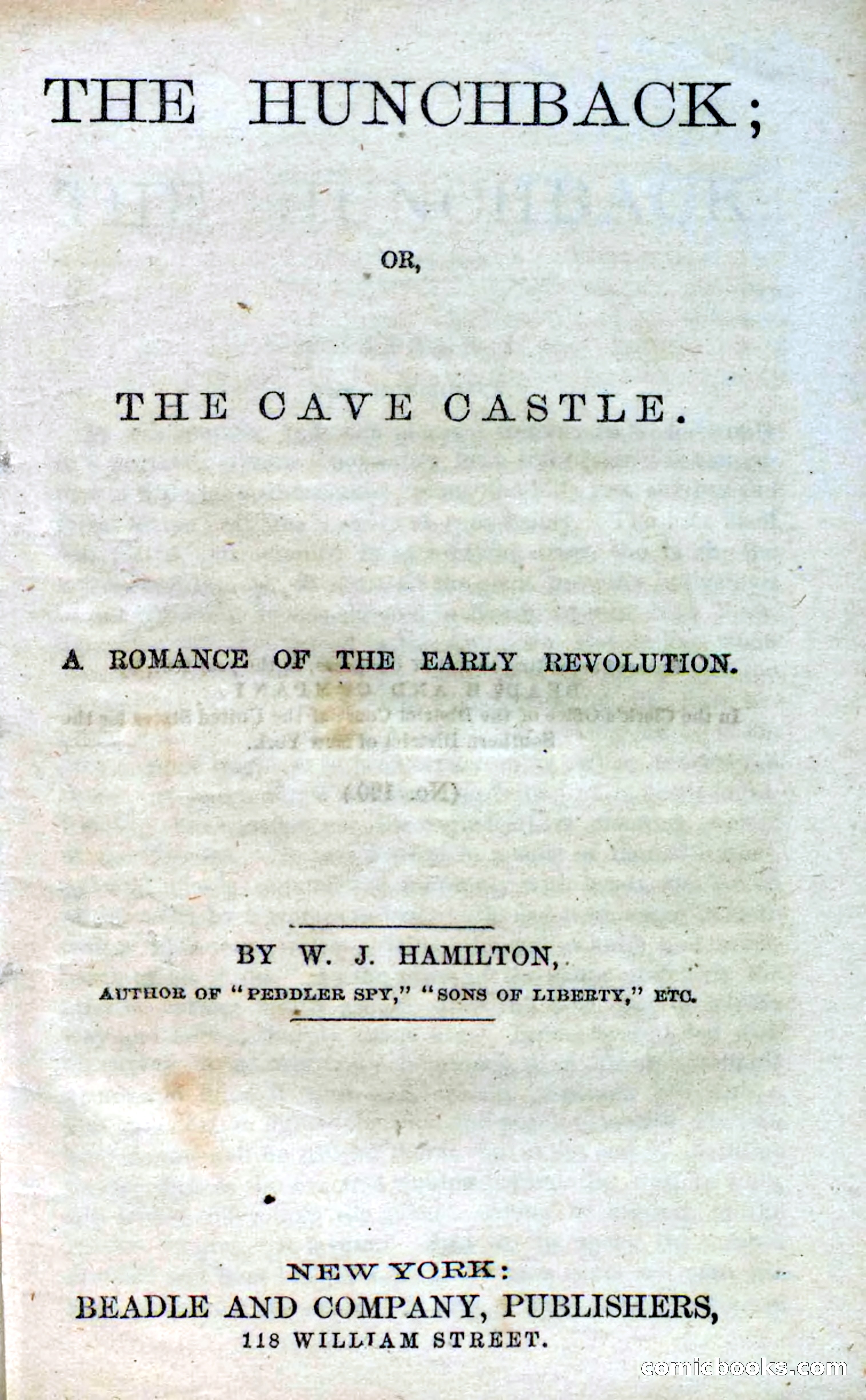 Beadle's Dime Novels No. 120: The Hunchback — page 5 of 100
