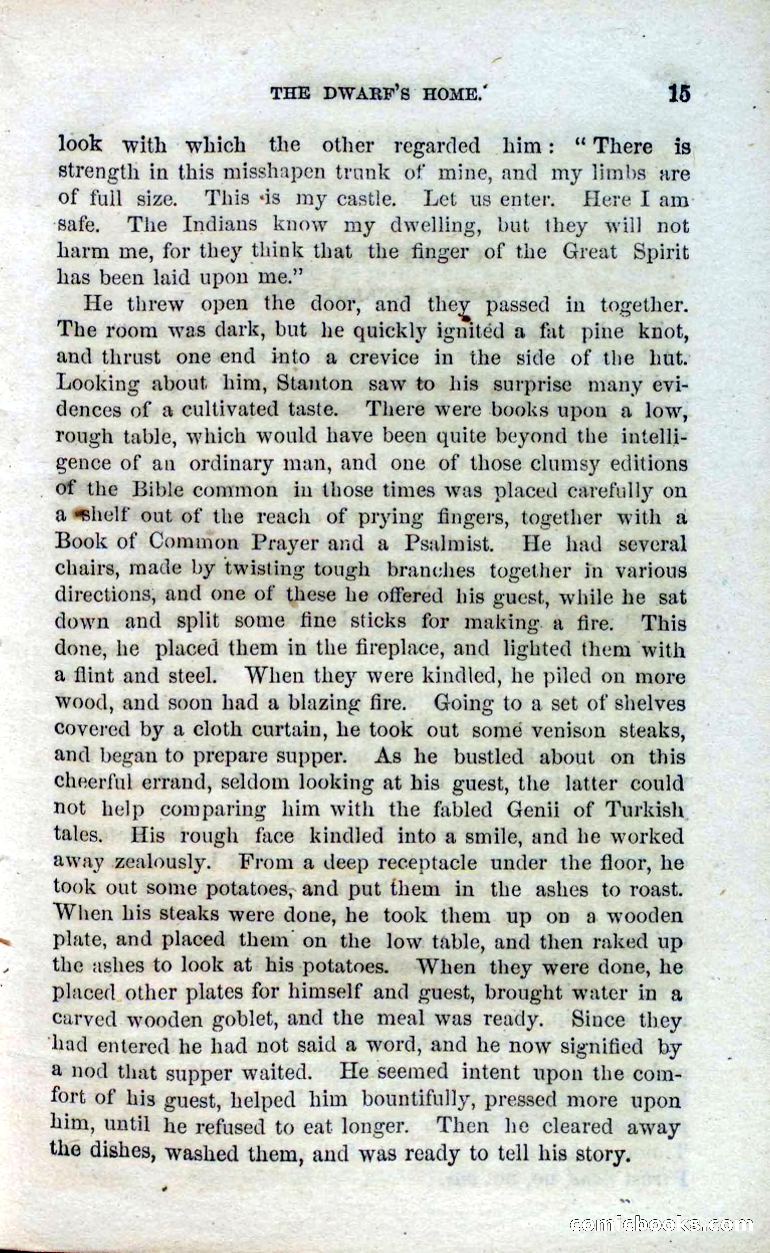 Beadle's Dime Novels No. 120: The Hunchback — page 13 of 100