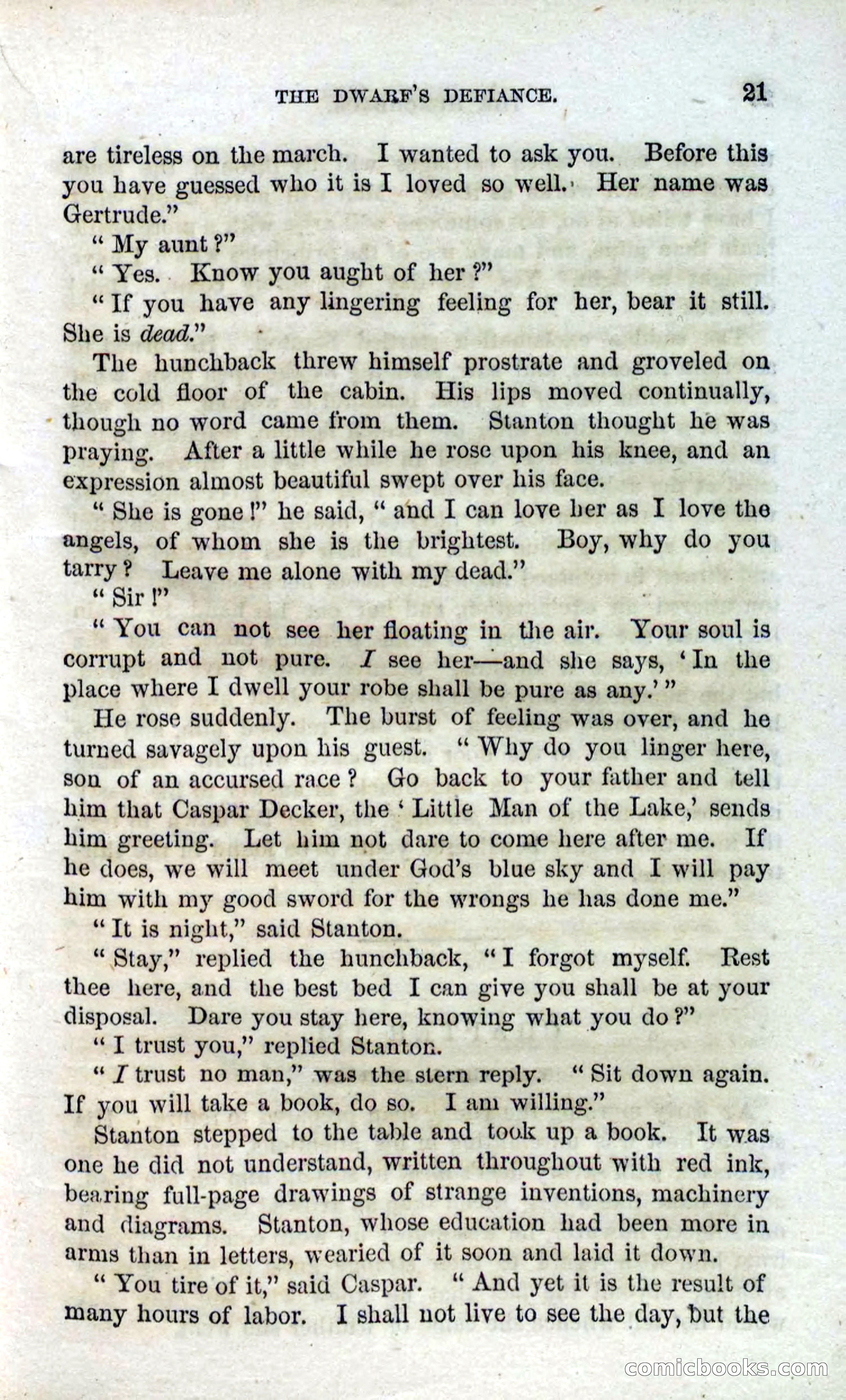 Beadle's Dime Novels No. 120: The Hunchback — page 19 of 100