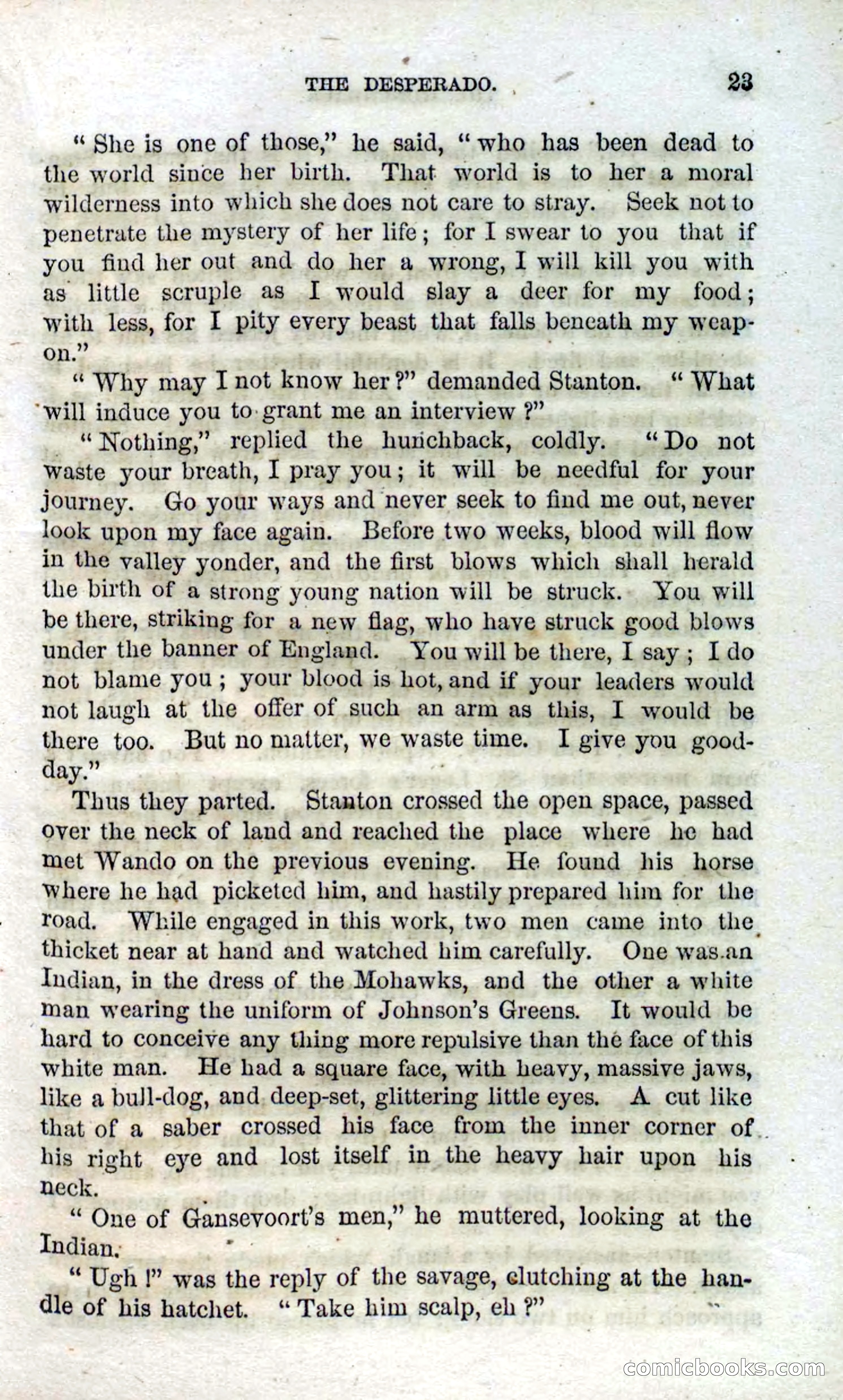 Beadle's Dime Novels No. 120: The Hunchback — page 21 of 100