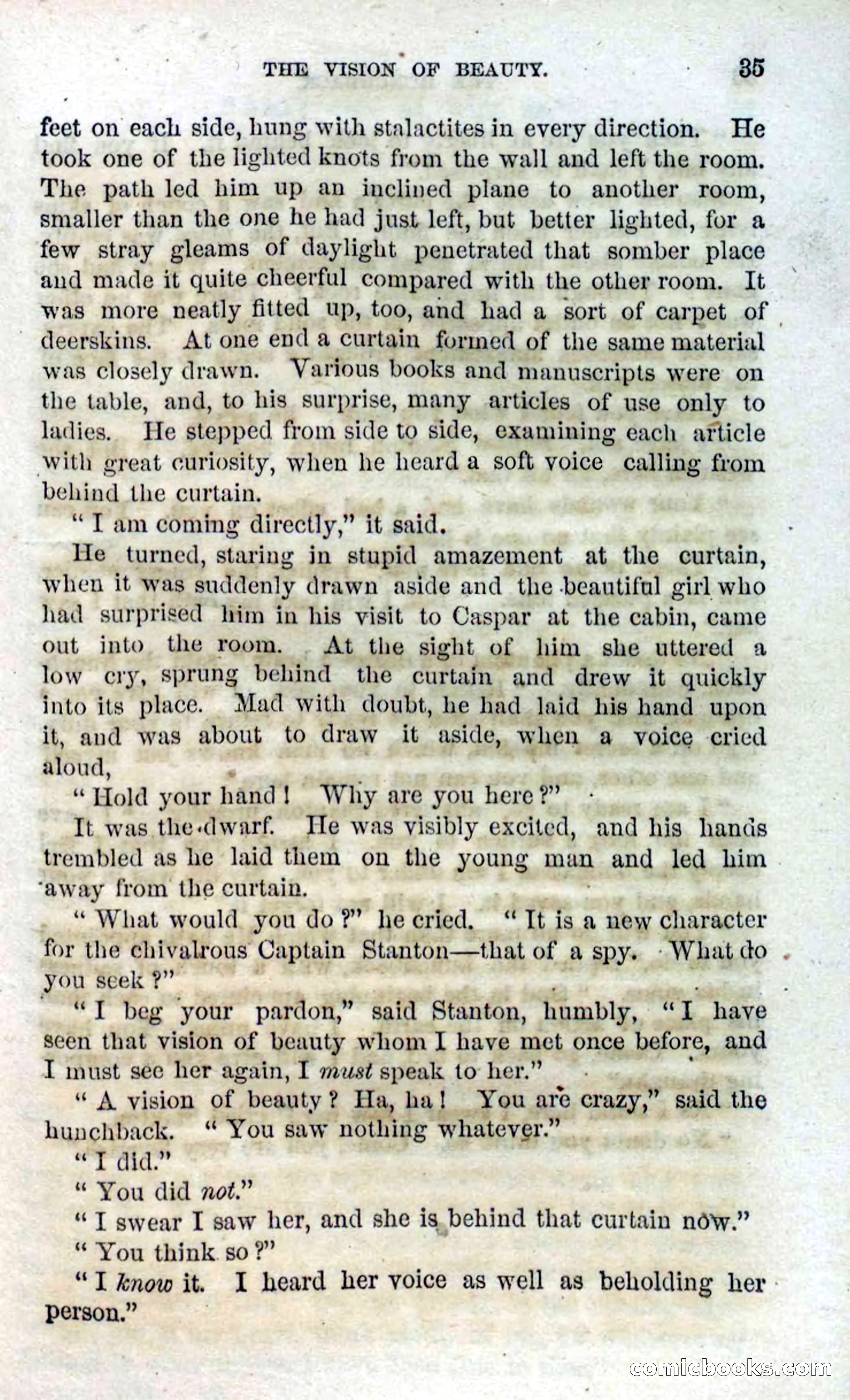 Beadle's Dime Novels No. 120: The Hunchback — page 33 of 100