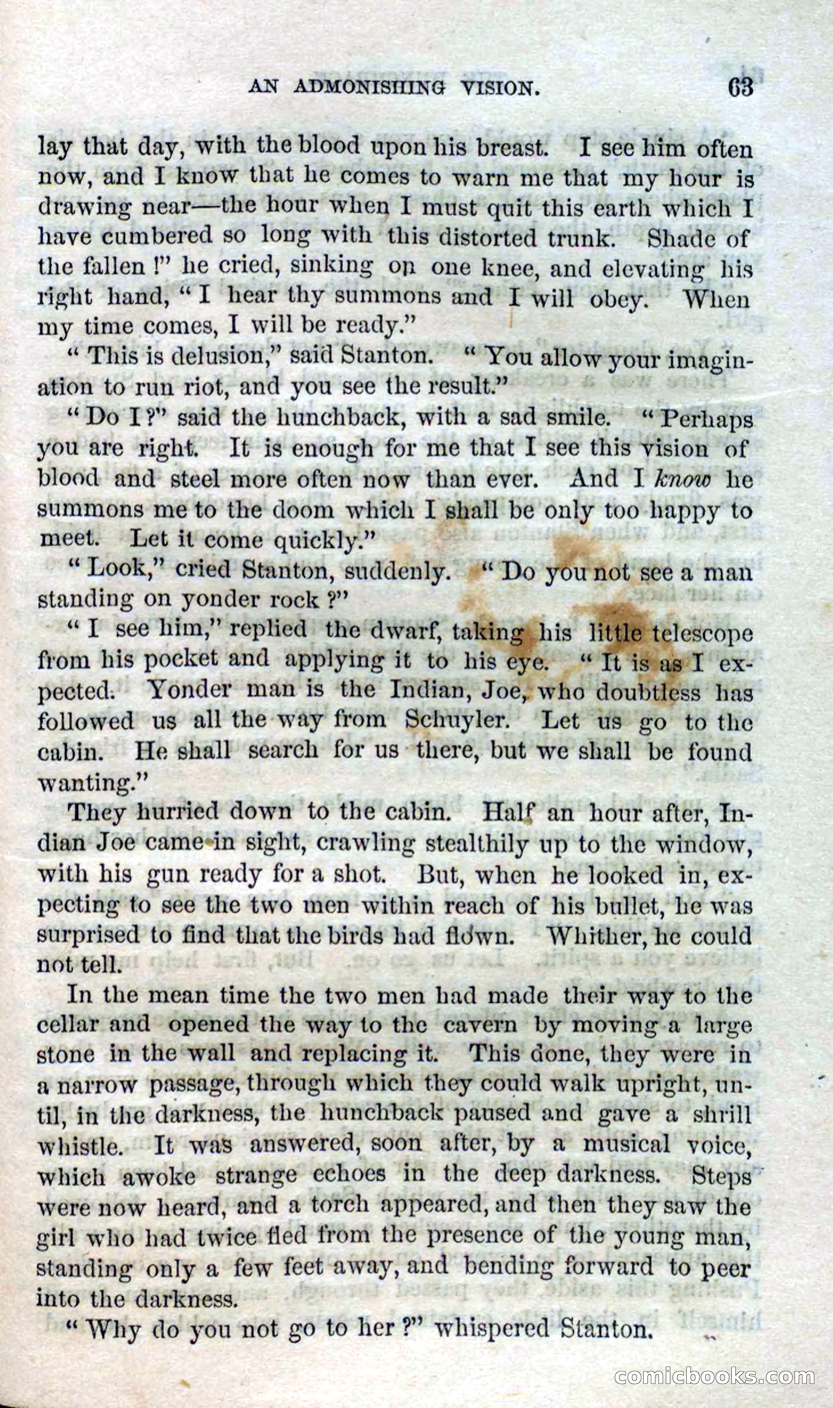 Beadle's Dime Novels No. 120: The Hunchback — page 61 of 100