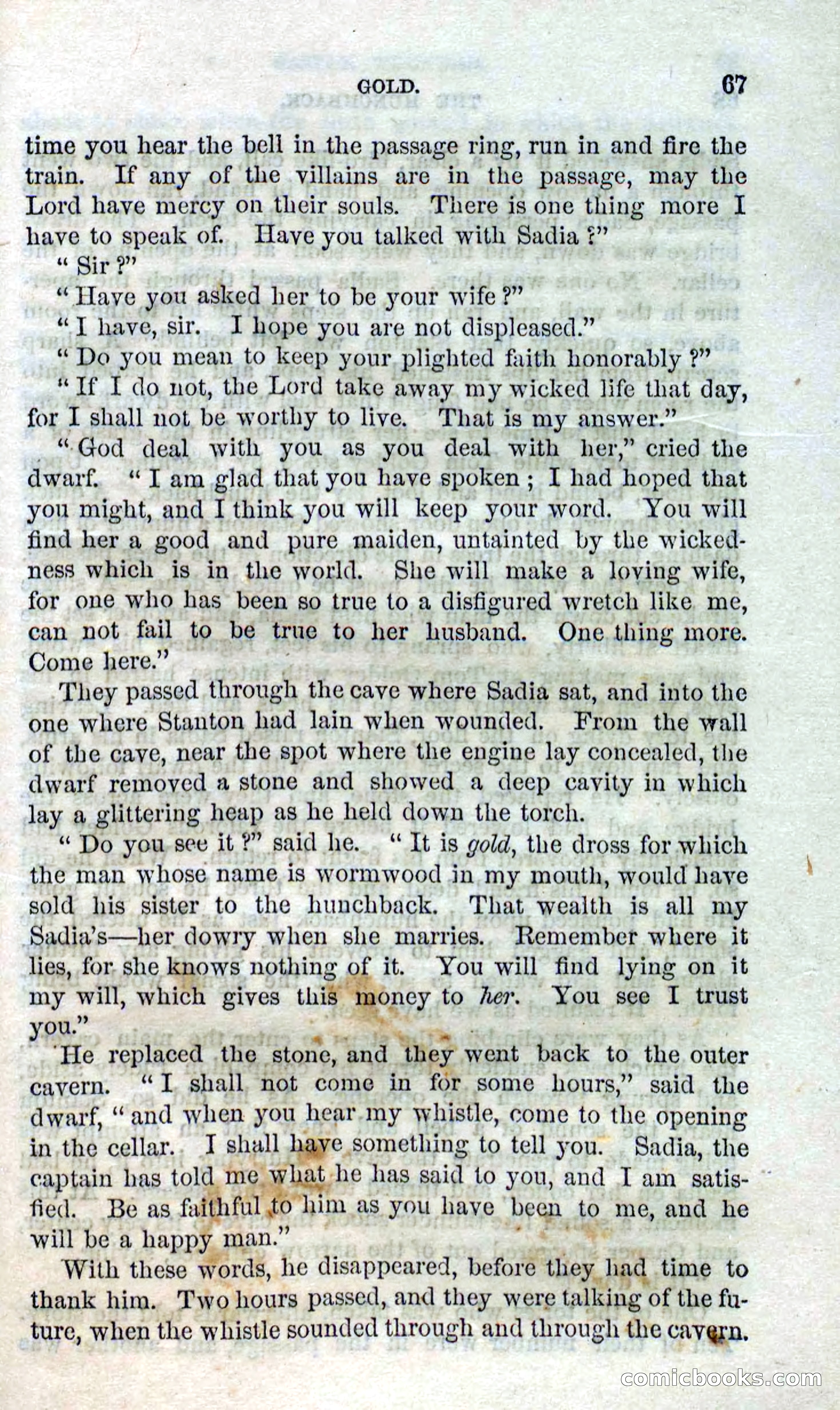 Beadle's Dime Novels No. 120: The Hunchback — page 65 of 100