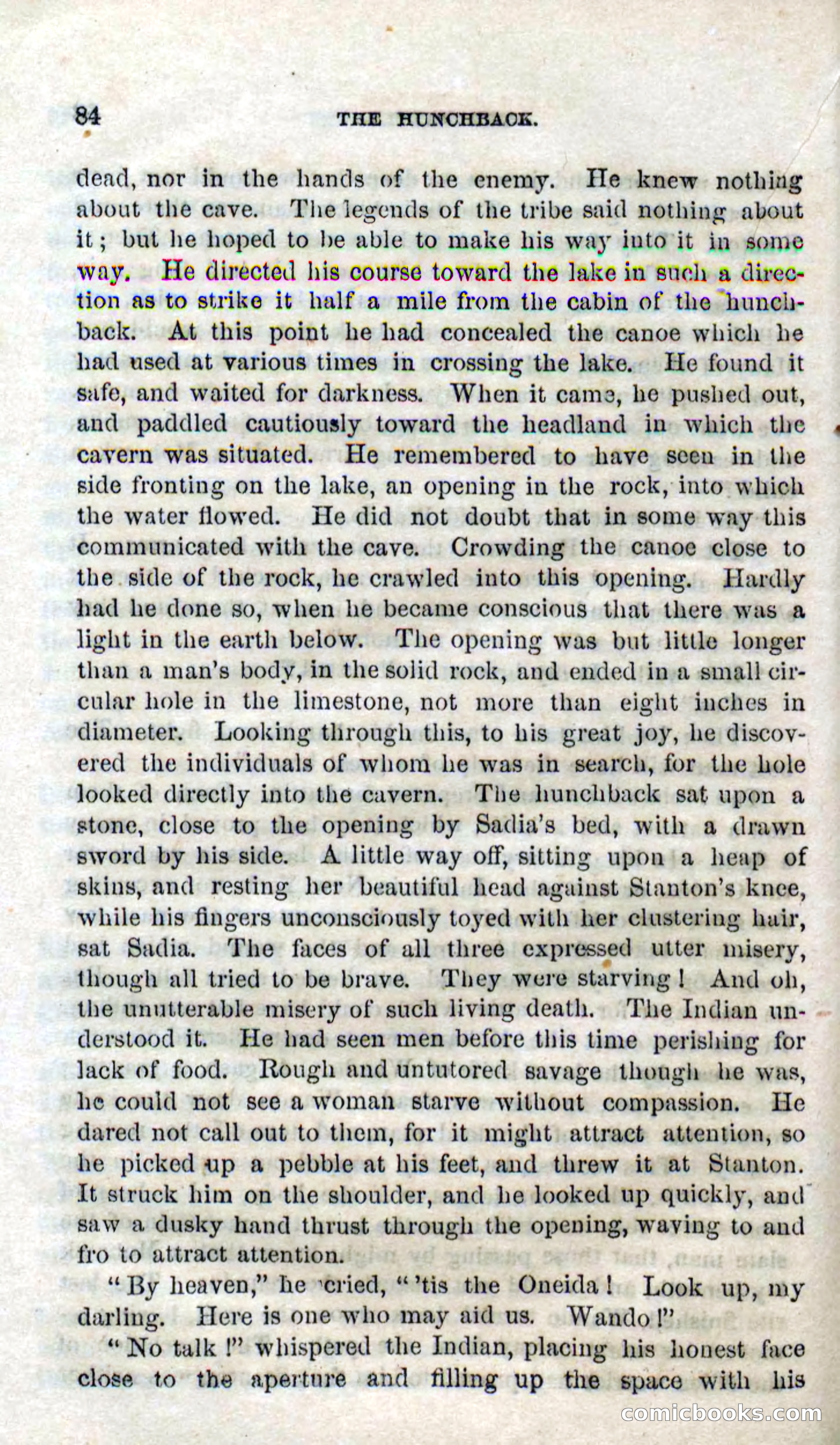 Beadle's Dime Novels No. 120: The Hunchback — page 82 of 100