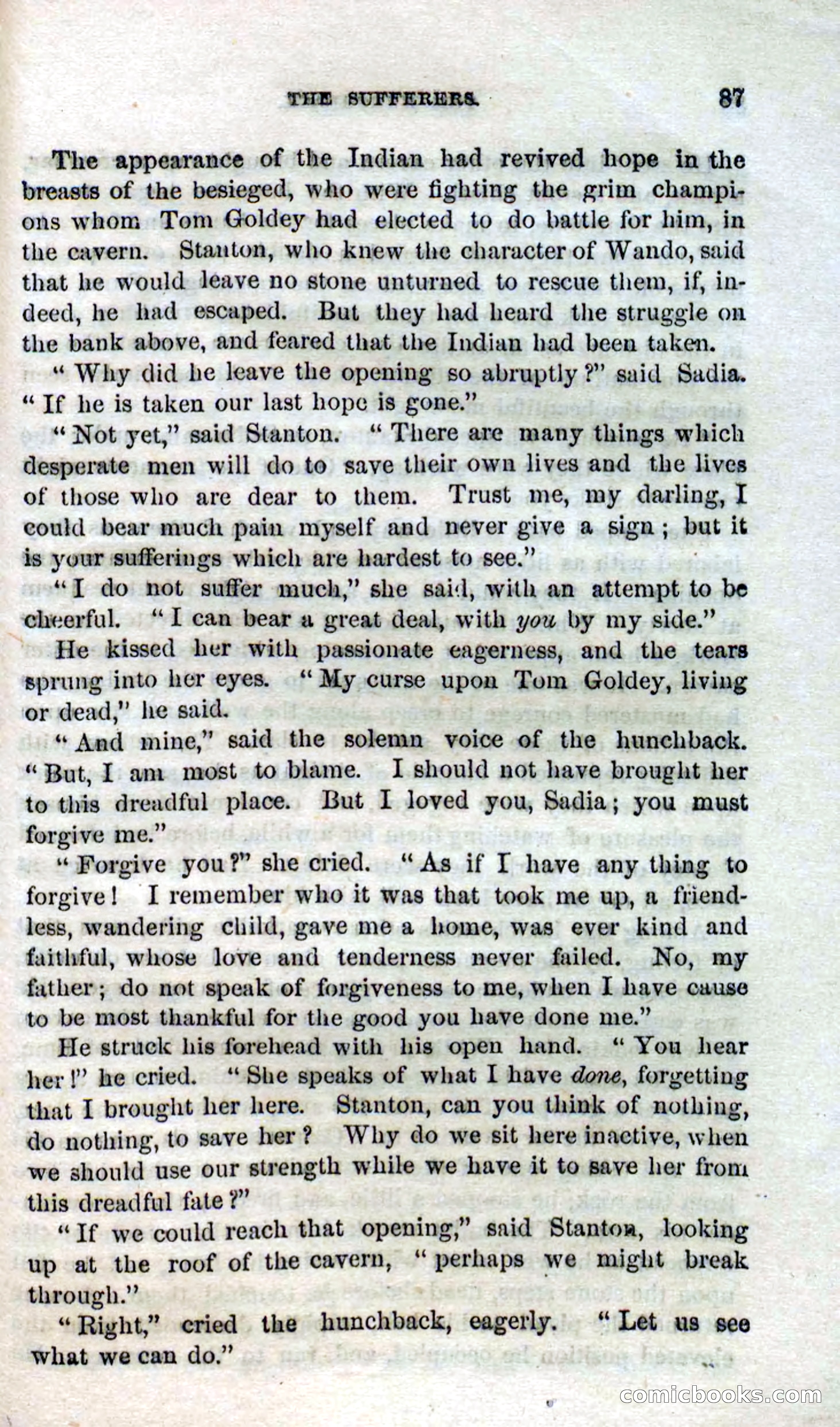 Beadle's Dime Novels No. 120: The Hunchback — page 85 of 100