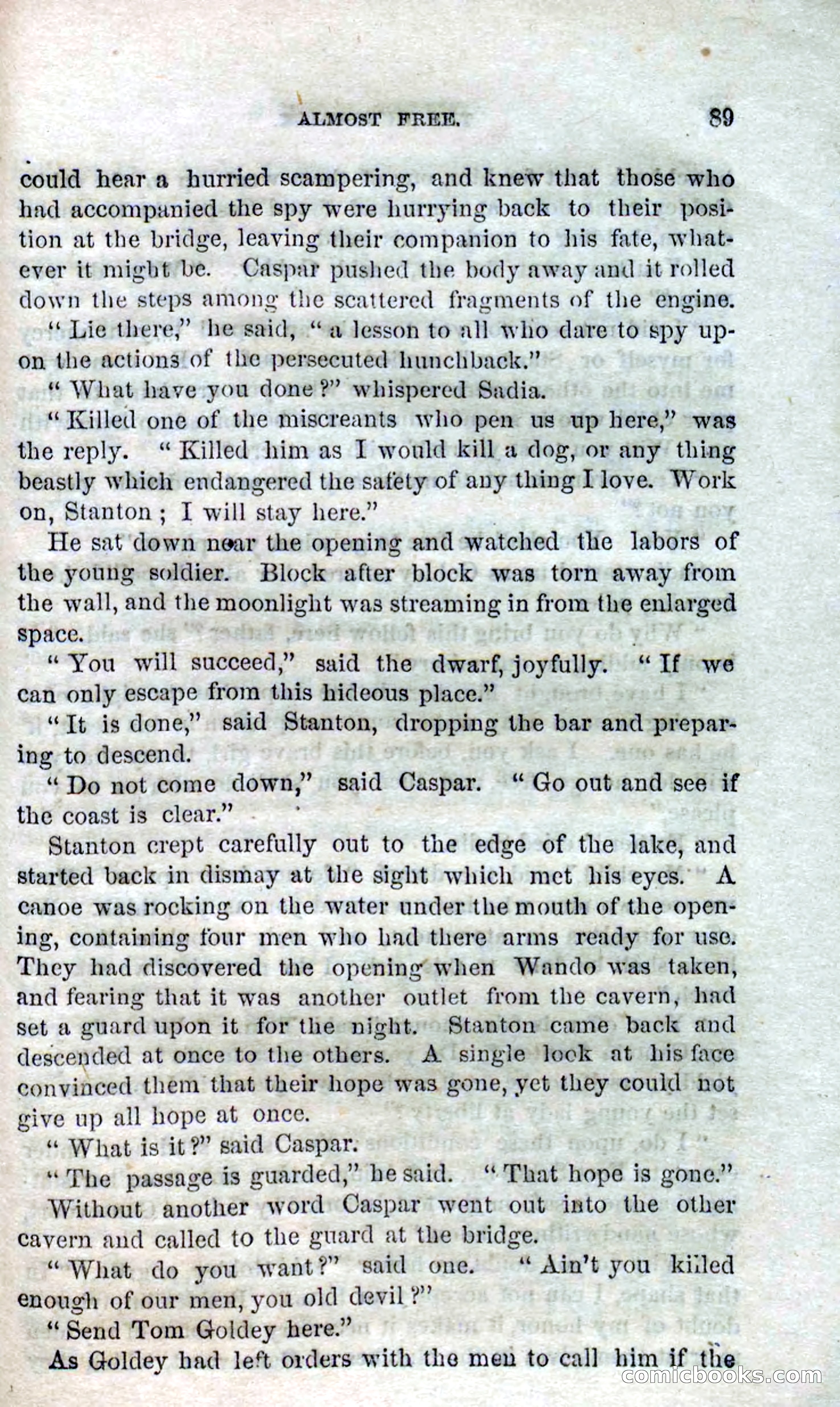 Beadle's Dime Novels No. 120: The Hunchback — page 87 of 100
