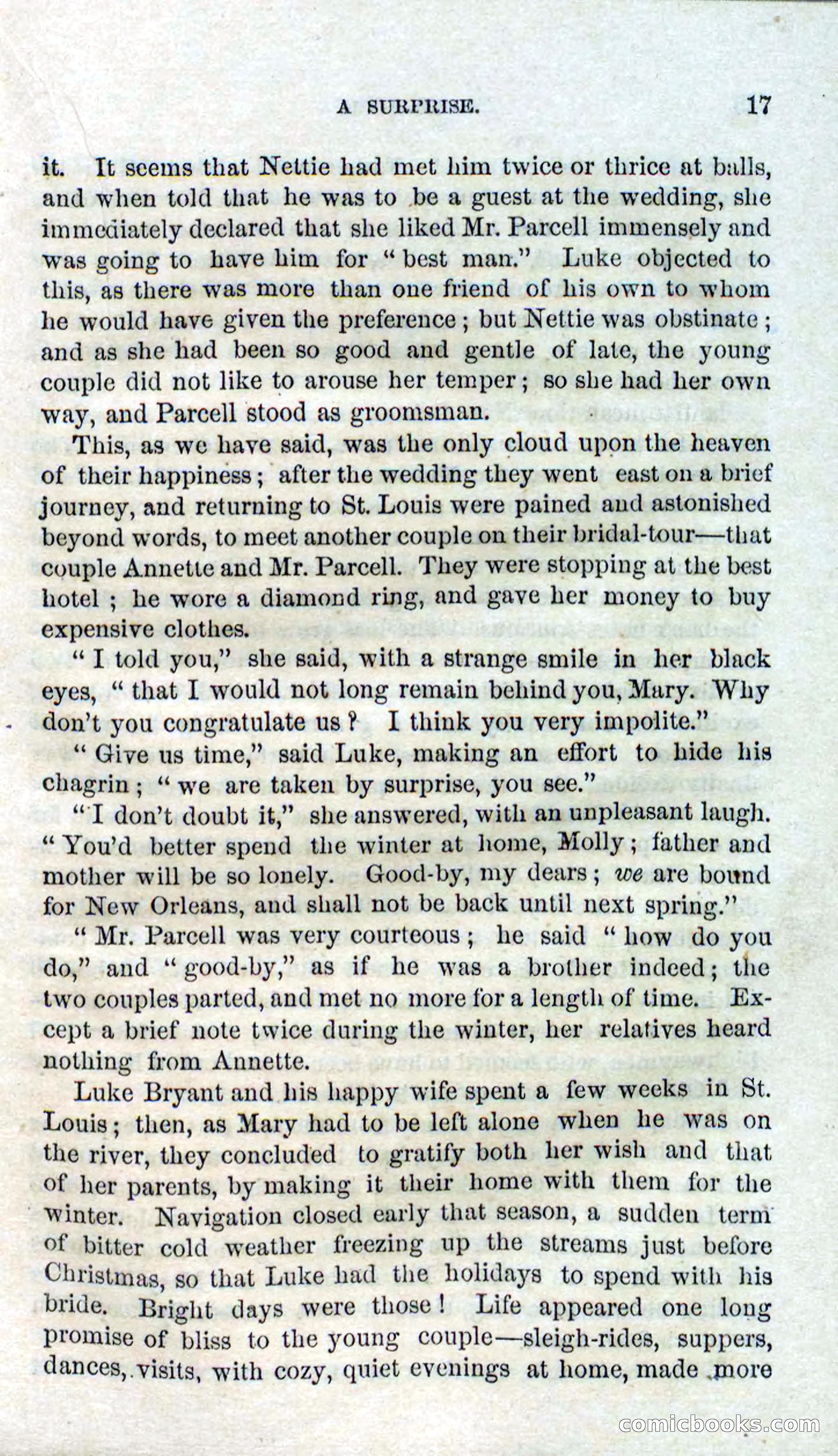 Beadle's Dime Novels No. 126: Old Jupe — page 15 of 100