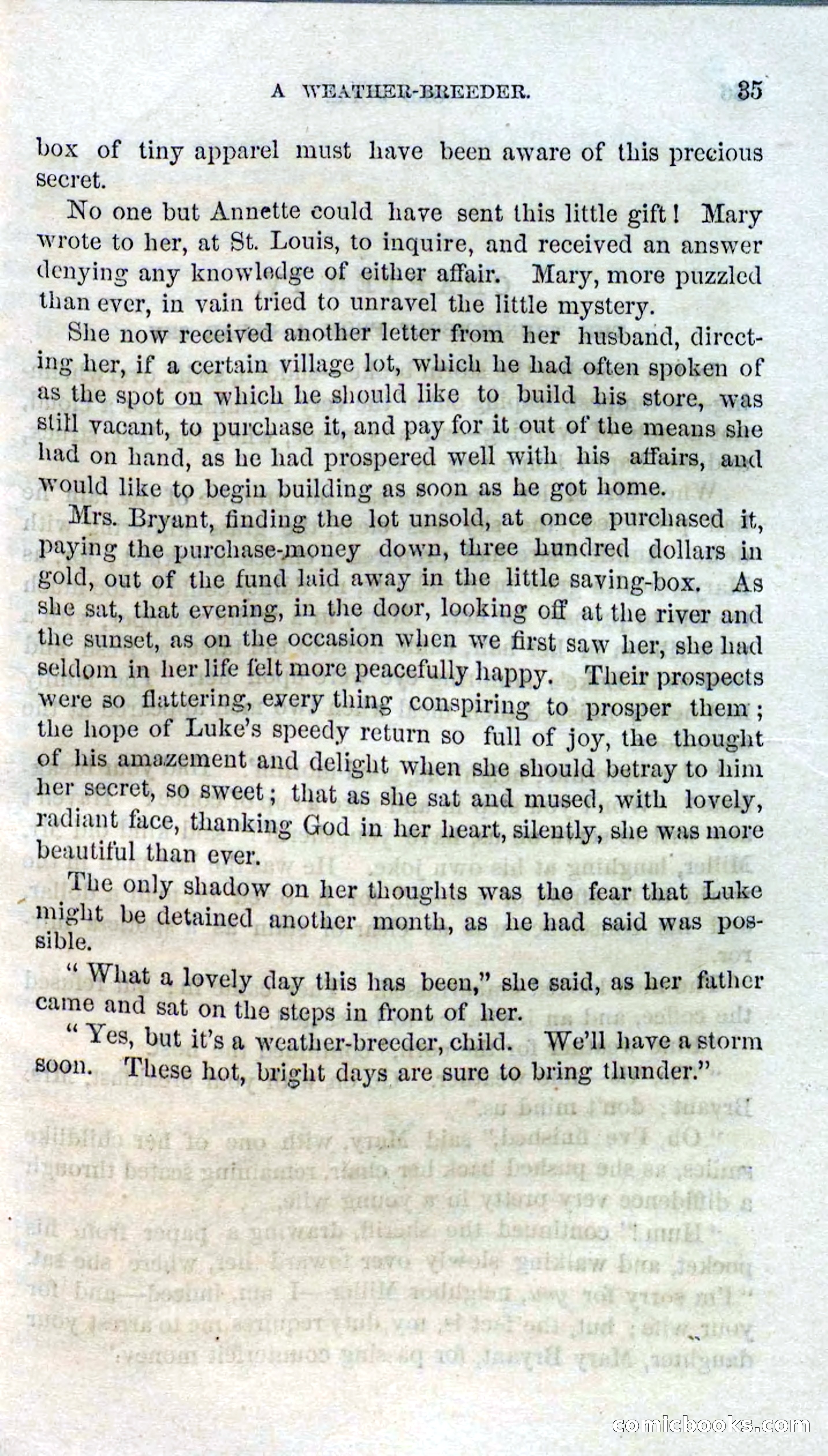 Beadle's Dime Novels No. 126: Old Jupe — page 33 of 100