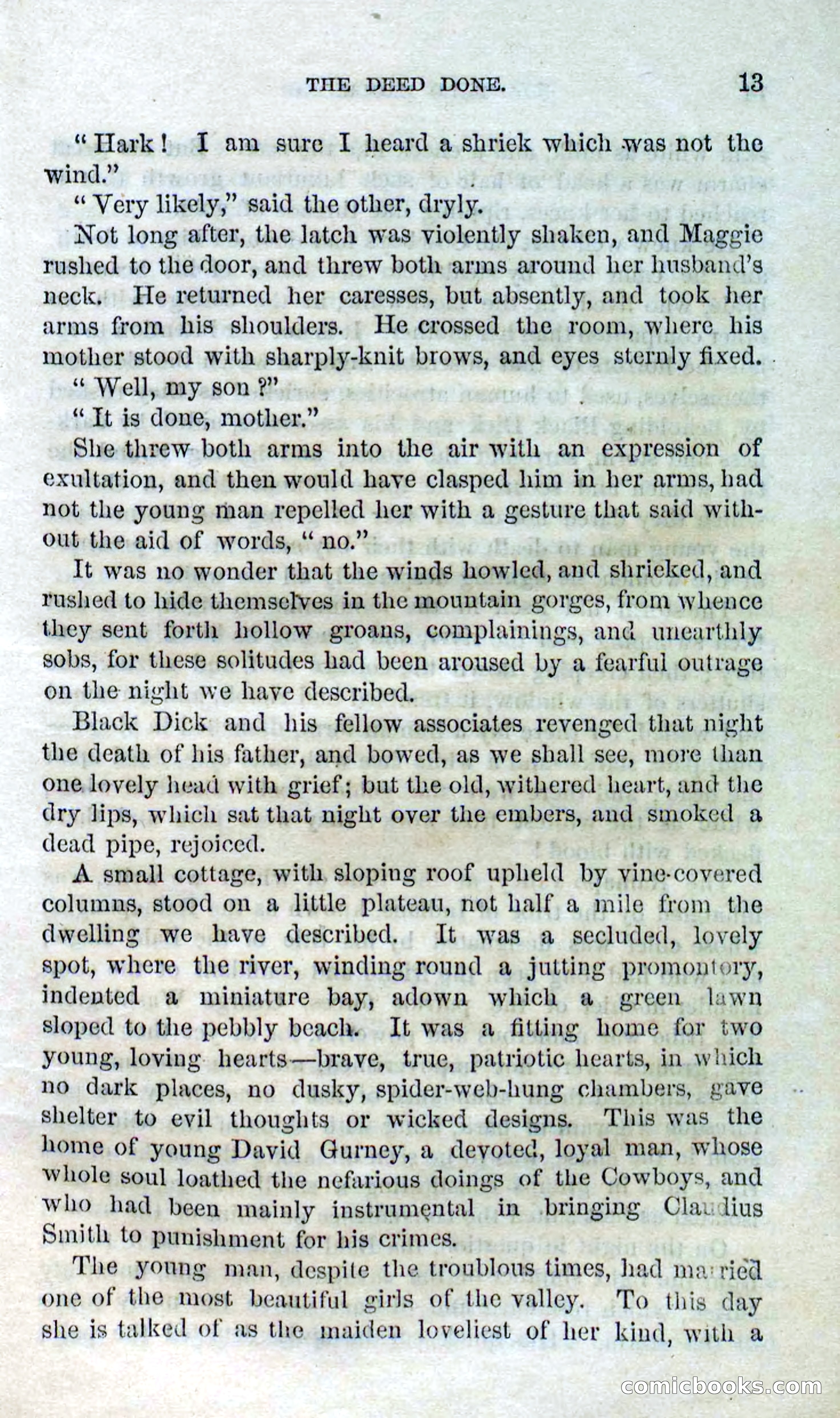 Beadle's Dime Novels No. 127: Bald Eagle — page 11 of 100