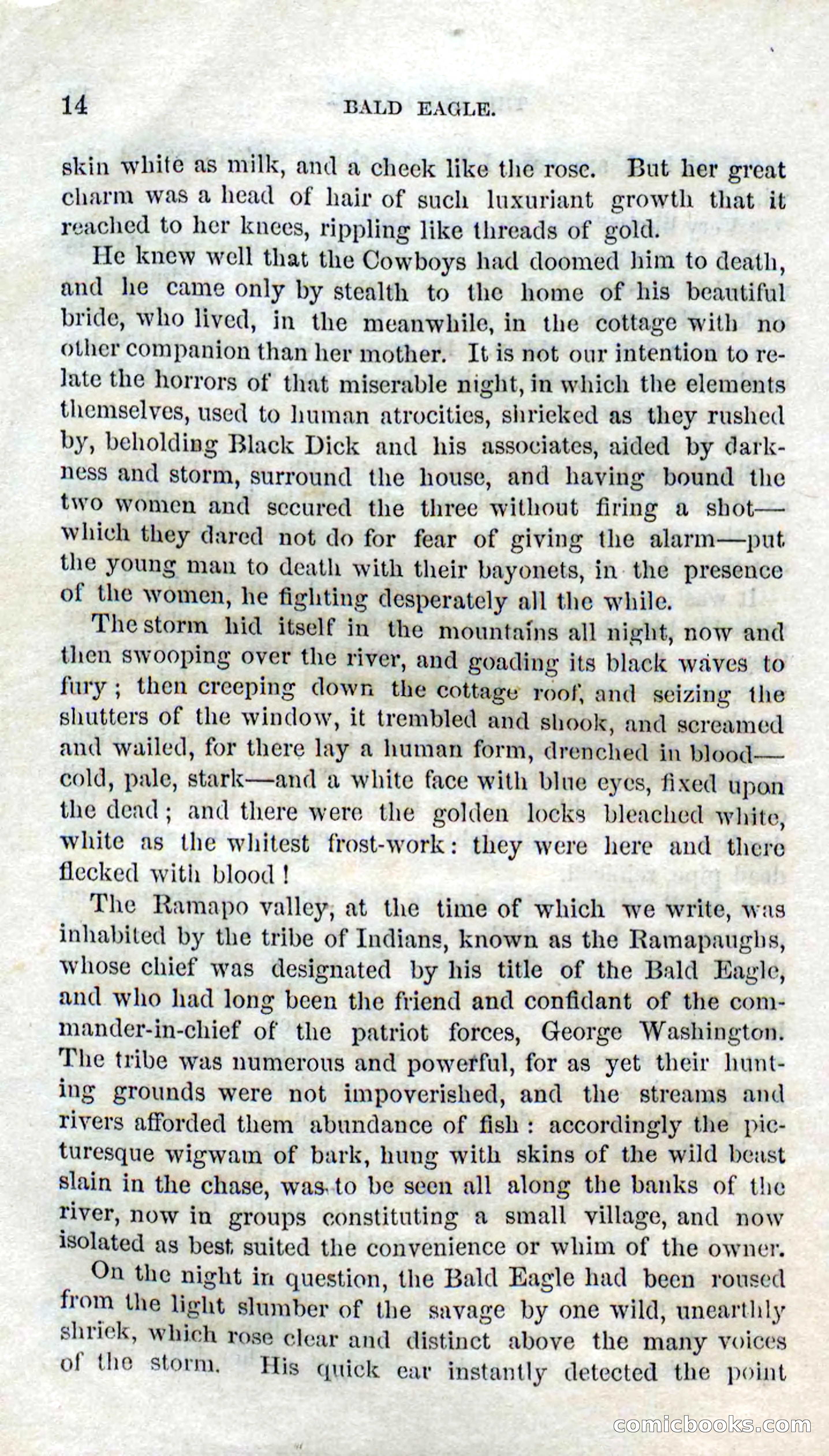 Beadle's Dime Novels No. 127: Bald Eagle — page 12 of 100