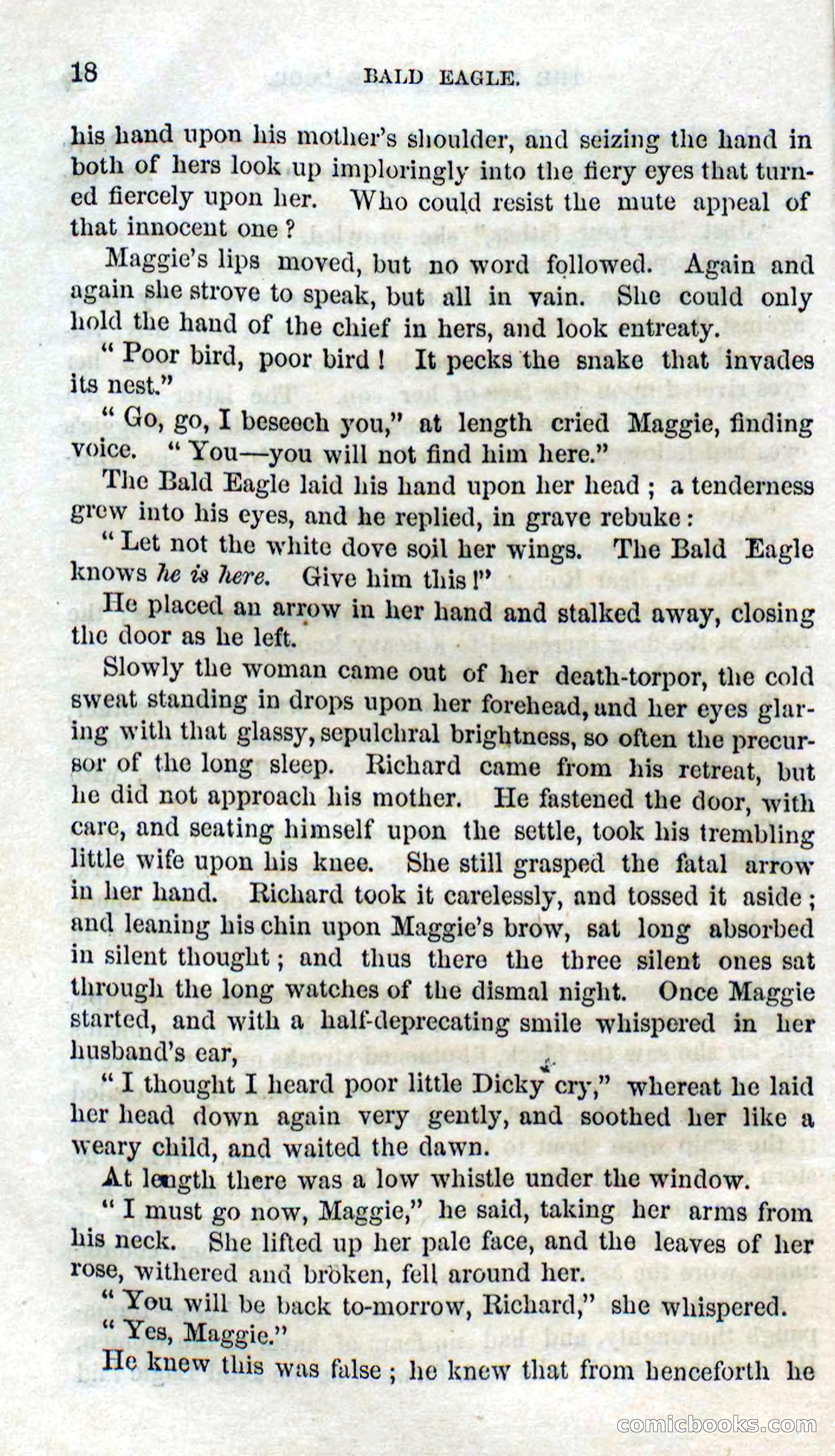 Beadle's Dime Novels No. 127: Bald Eagle — page 16 of 100