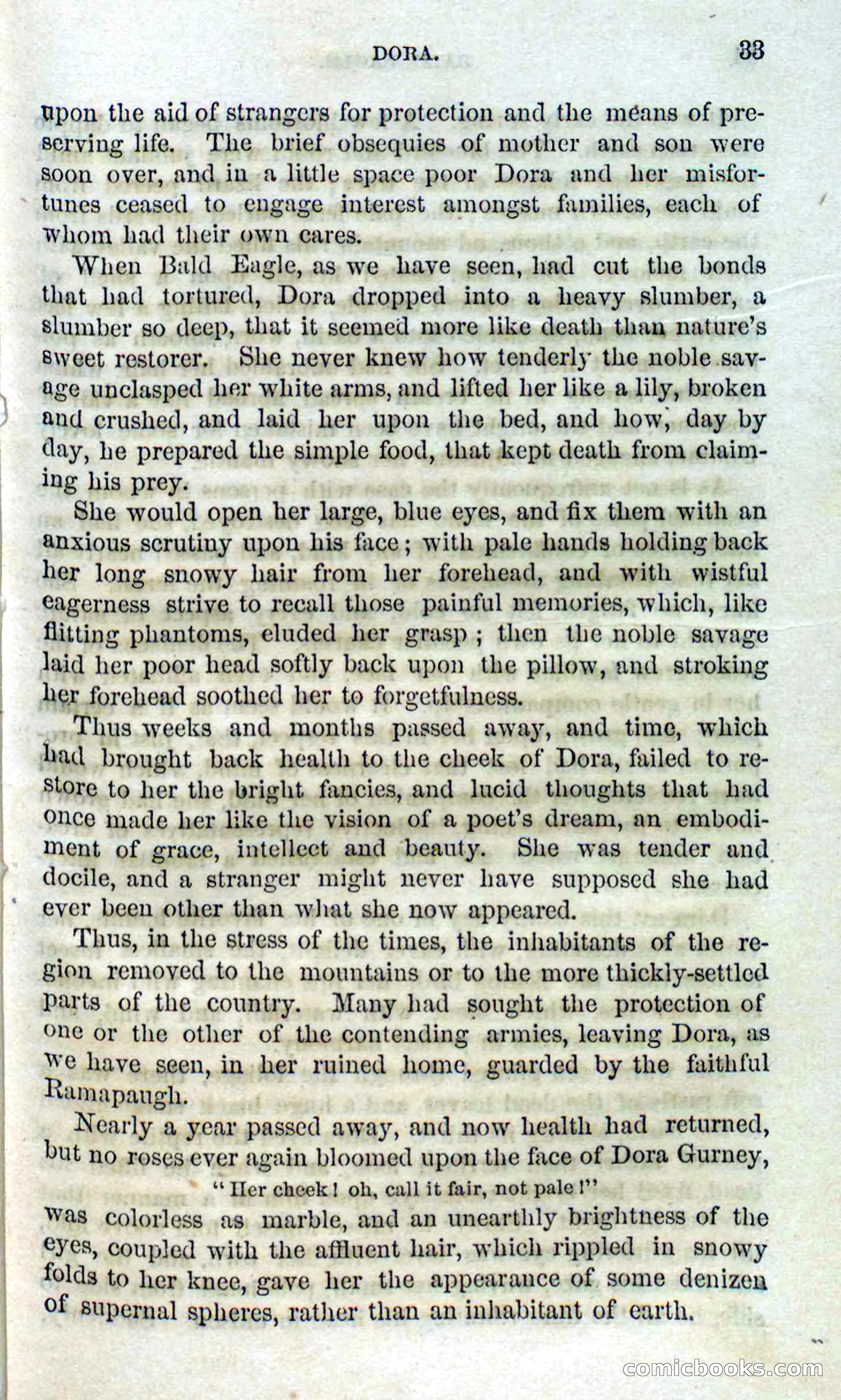 Beadle's Dime Novels No. 127: Bald Eagle — page 31 of 100