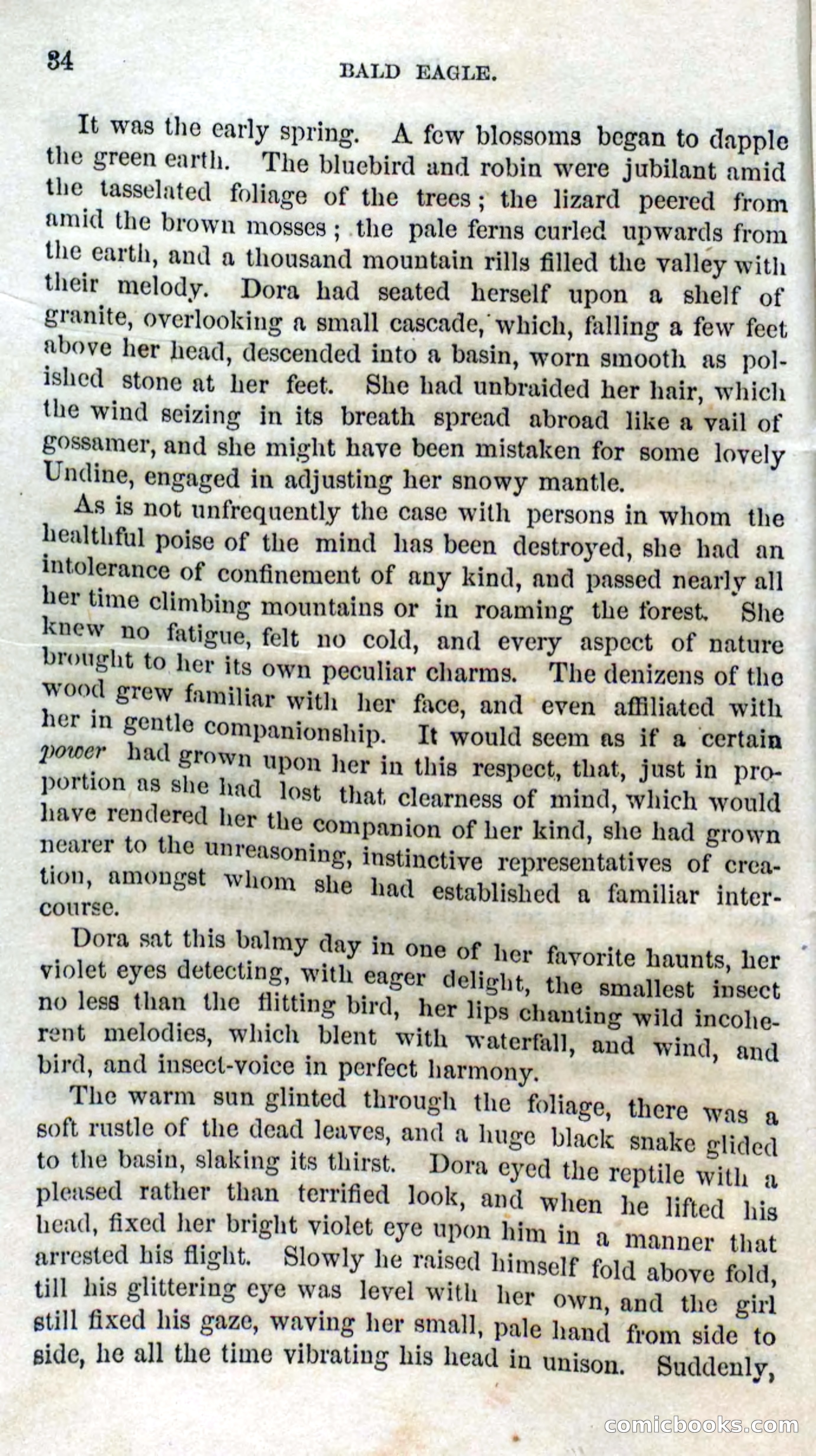 Beadle's Dime Novels No. 127: Bald Eagle — page 32 of 100