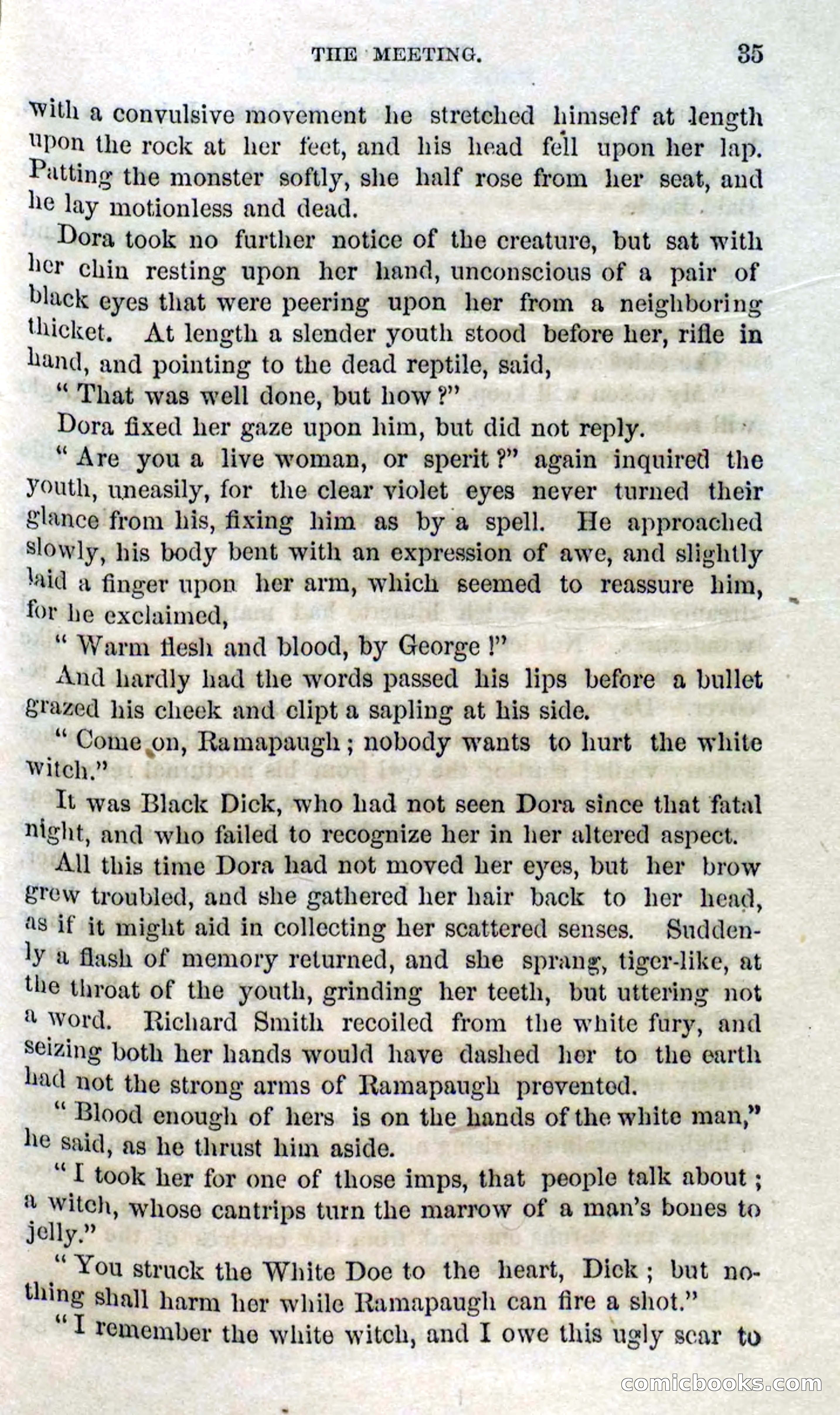 Beadle's Dime Novels No. 127: Bald Eagle — page 33 of 100