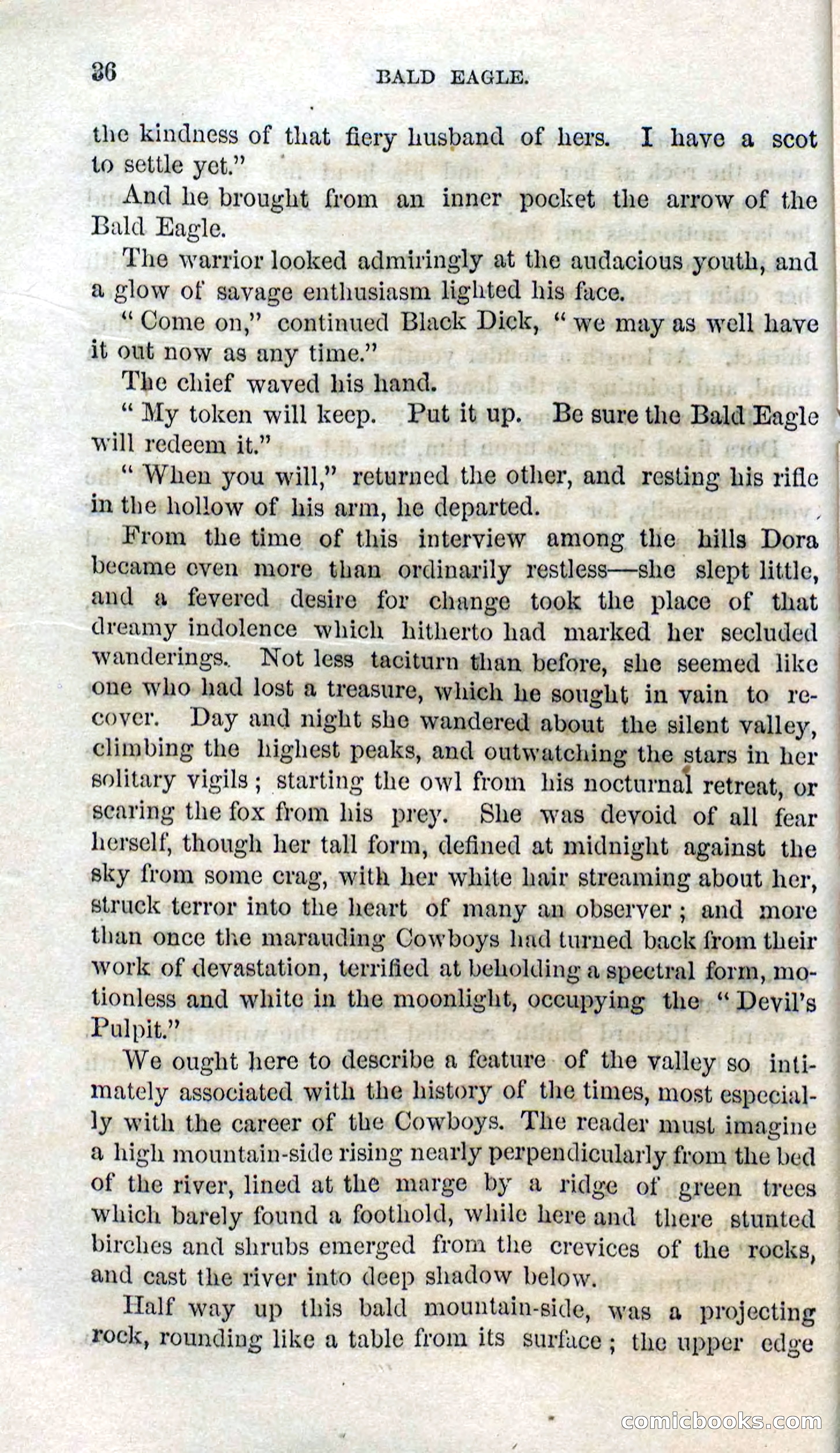 Beadle's Dime Novels No. 127: Bald Eagle — page 34 of 100