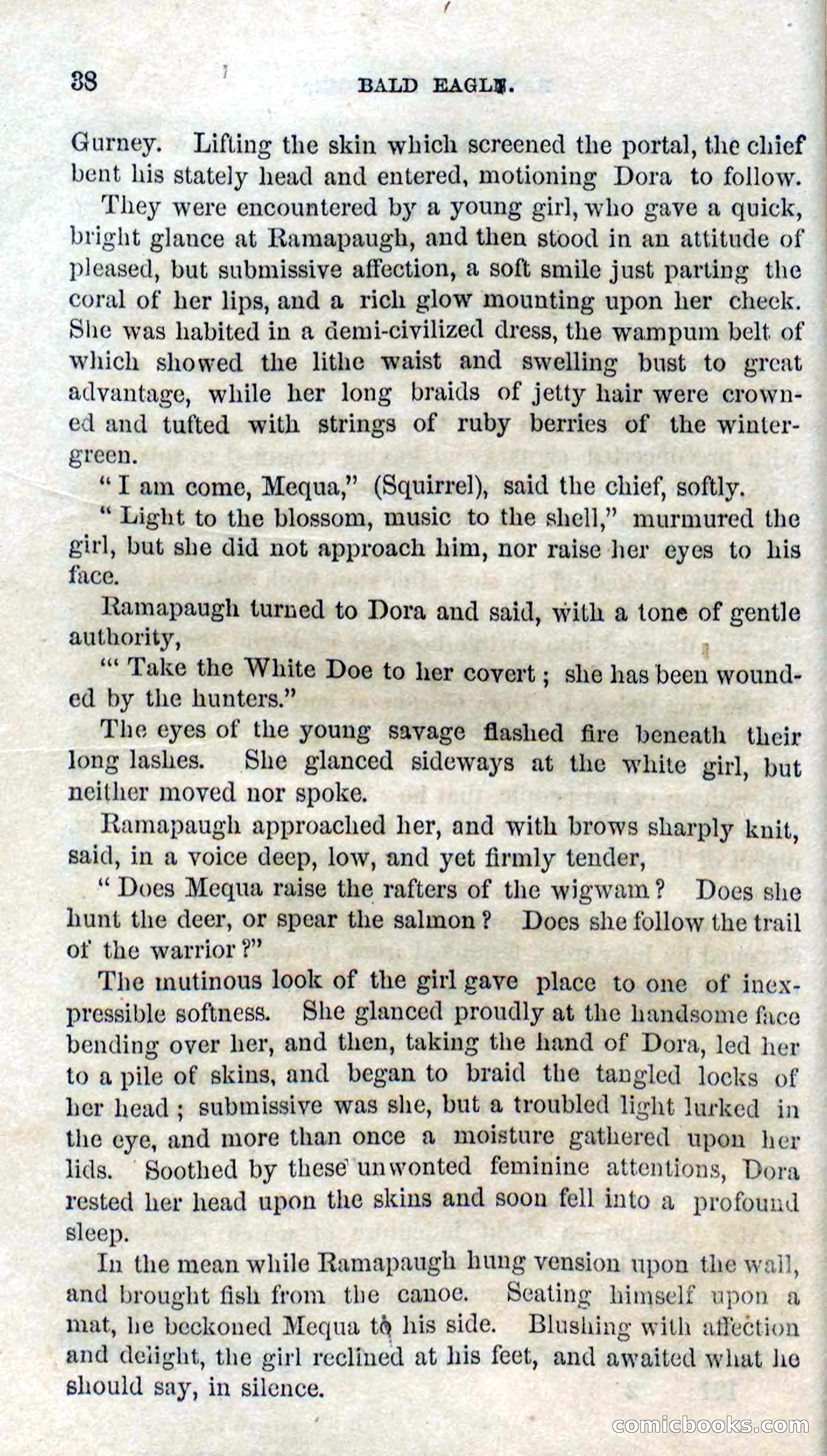 Beadle's Dime Novels No. 127: Bald Eagle — page 36 of 100