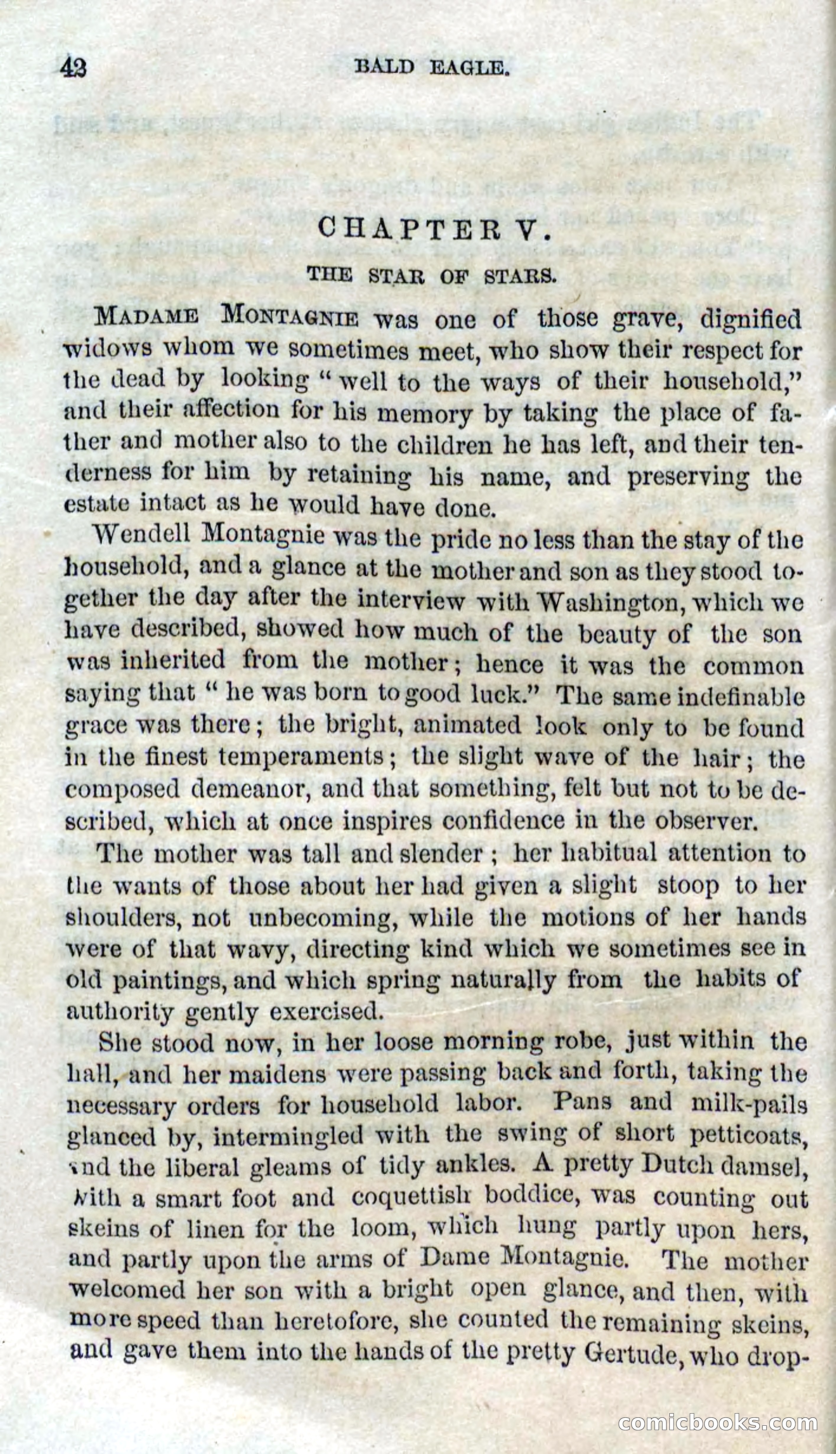 Beadle's Dime Novels No. 127: Bald Eagle — page 40 of 100